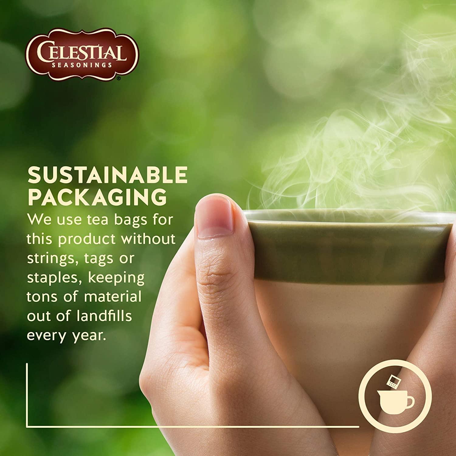 Celestial Seasonings Fruit Tea Sampler - 18 Bags (2 Boxes) | Buy Now ...
