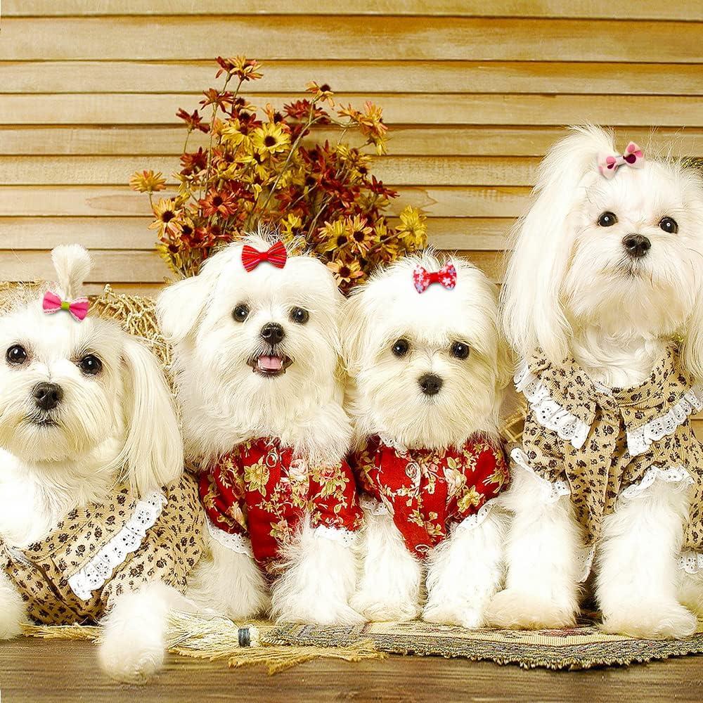 Small dog hair accessories outlet