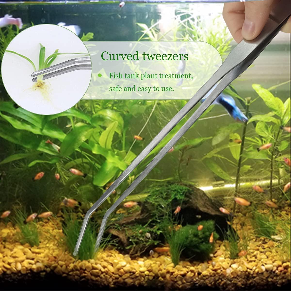 2 Pcs Stainless Steel Feeding Tongs Set 27cm Ideal for Aquascaping, Reptiles, Lizards, Bearded