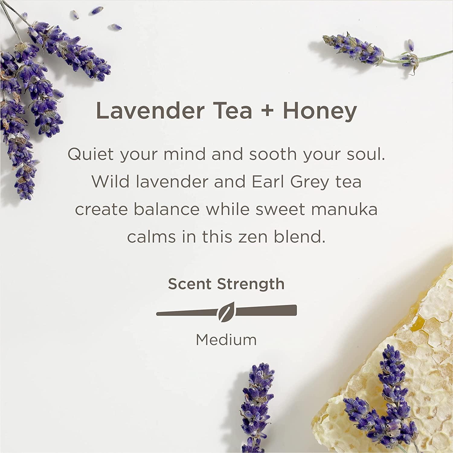 Enviroscent NonToxic Plugin (2Piece Set) Room & Home Air Freshener Kit (Lavender Tea + Honey