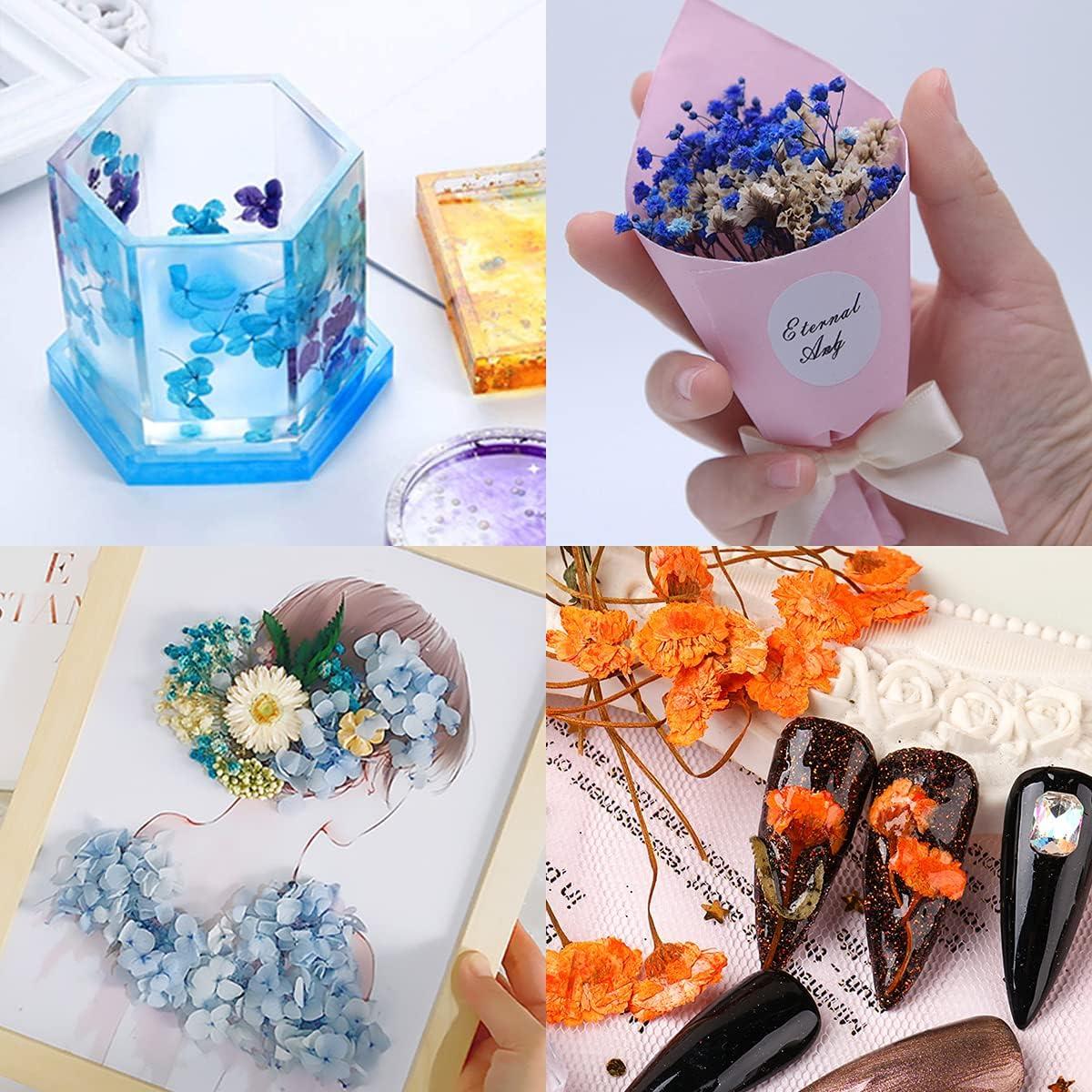 Dried Flowers for Resin 2 Box Mixed Multiple Assorted Real Flowers