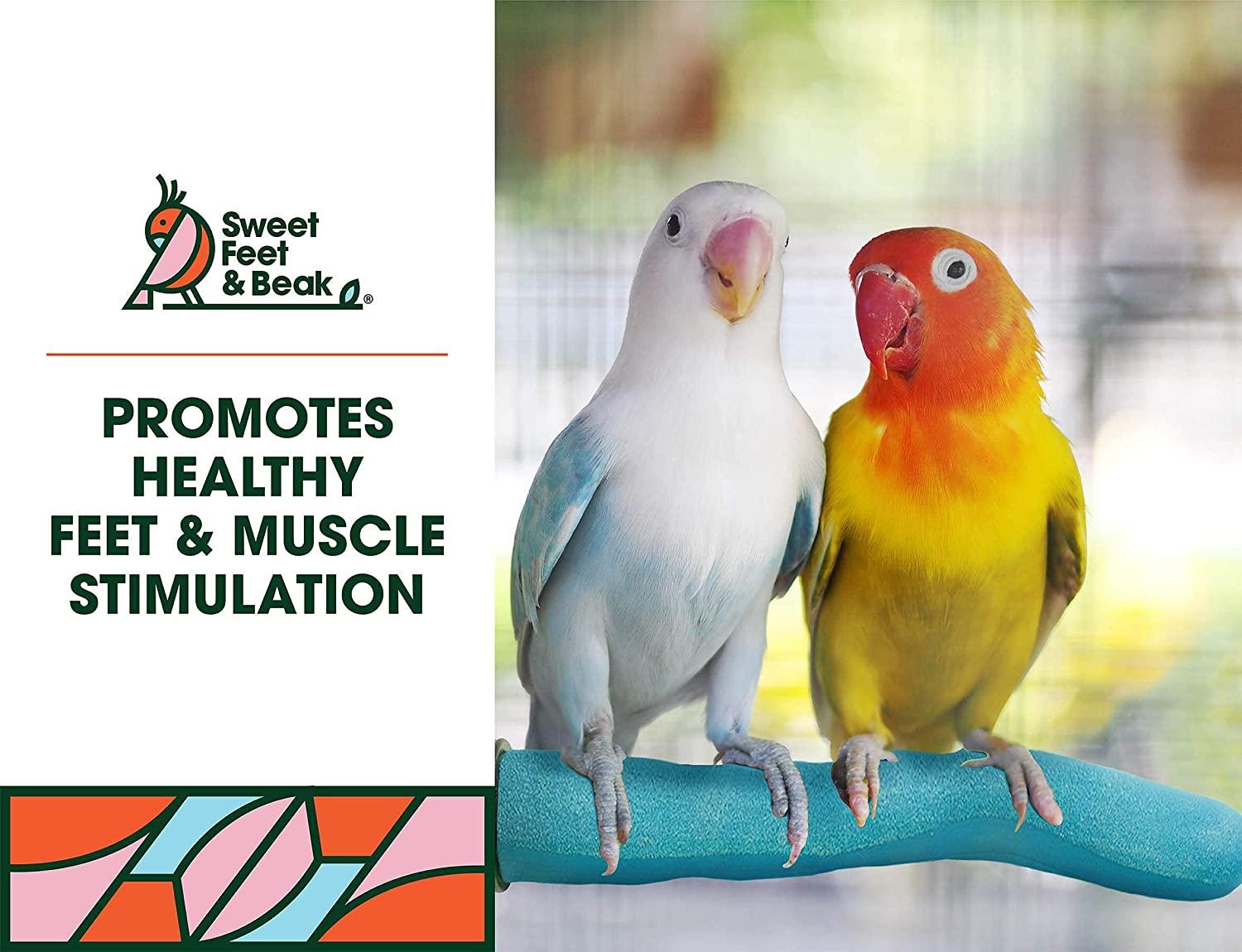 Sweet Feet and Beak Safety Pumice Perch for Birds Features Pumice to