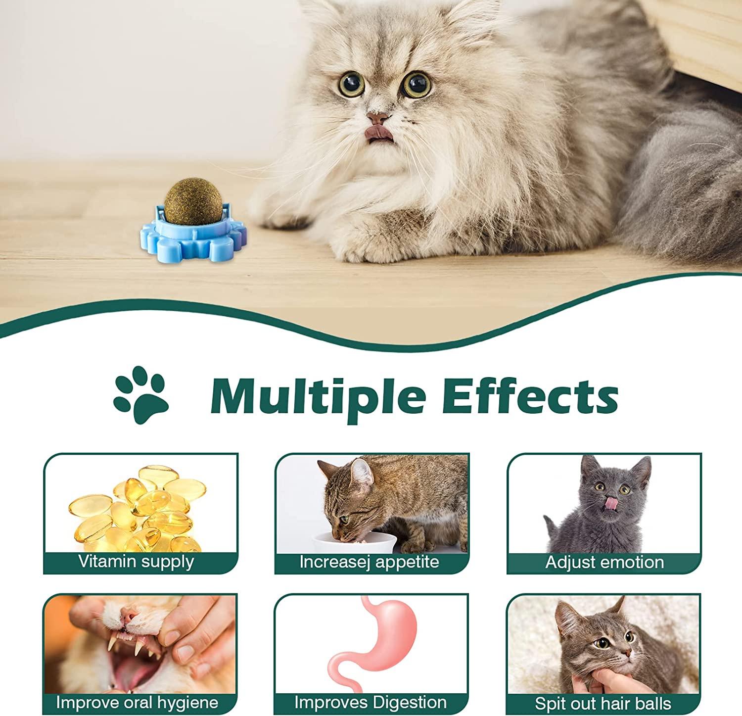 Organic Catnip Ball Toy - 4 Pack for Cats - Interactive Chew Toy for Indoor  Cats - Catnip Wall Treats - Teeth Cleaning & Anxiety Relief | Buy Now with  Express International Delivery | GoSupps.com