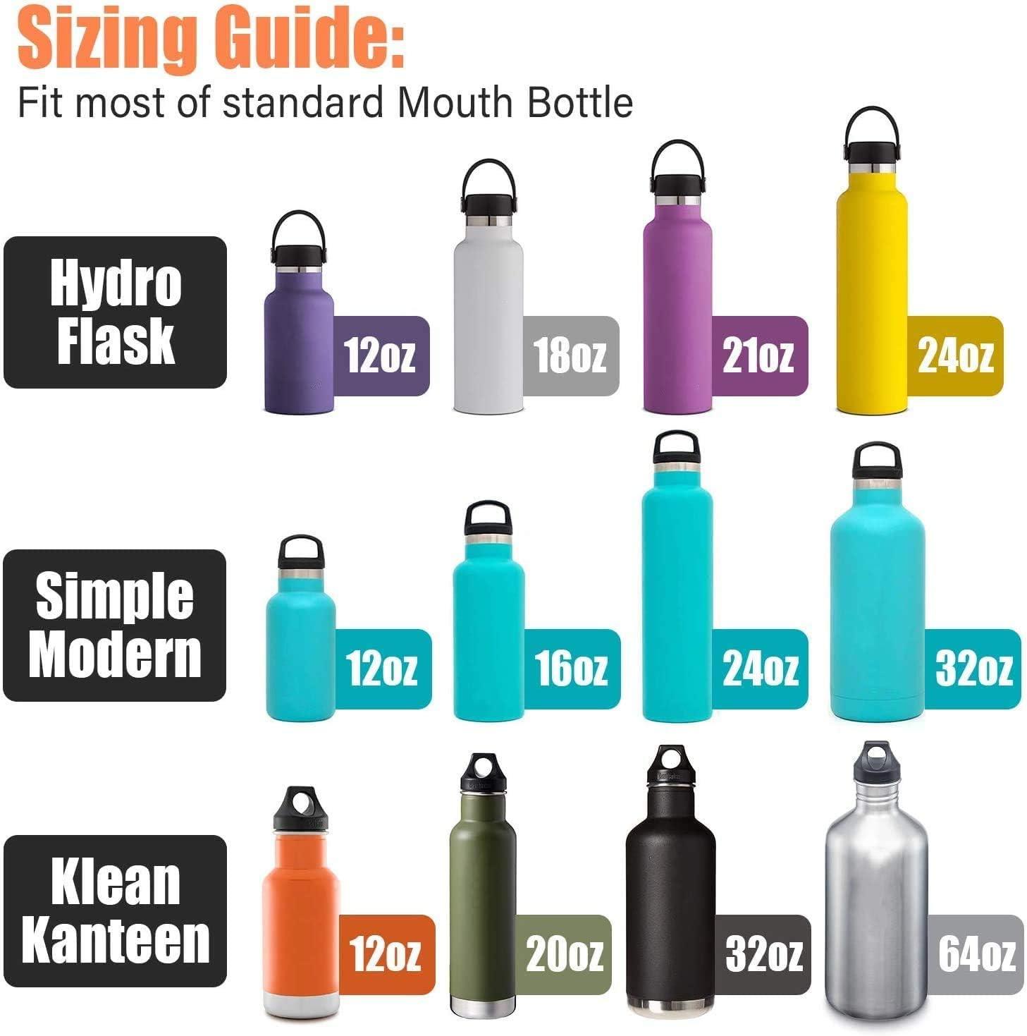 Simple Modern 17 oz Ascent Water Bottle With Straw Lid - Stainless