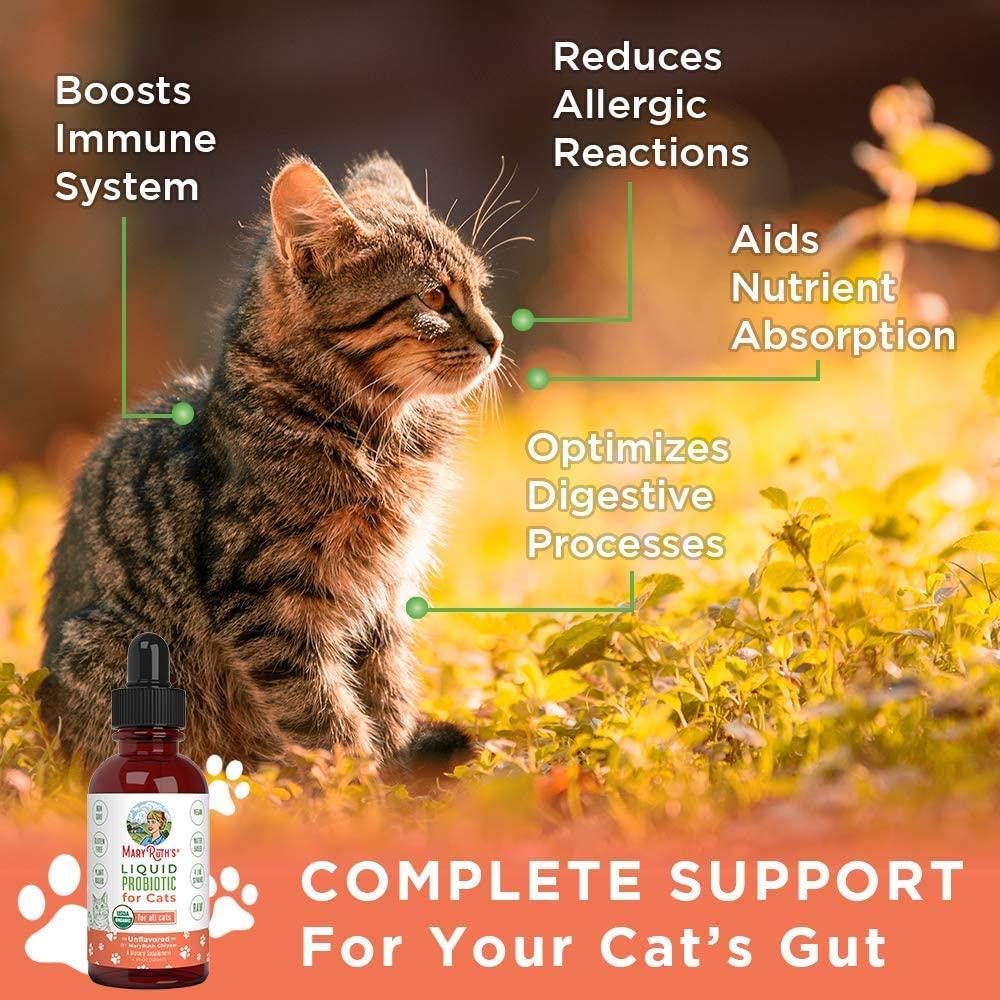 Organic Cat Probiotic Supplement for Digestive & Gut Health Vegan, NonGMO, Gluten Free 4 Fl Oz