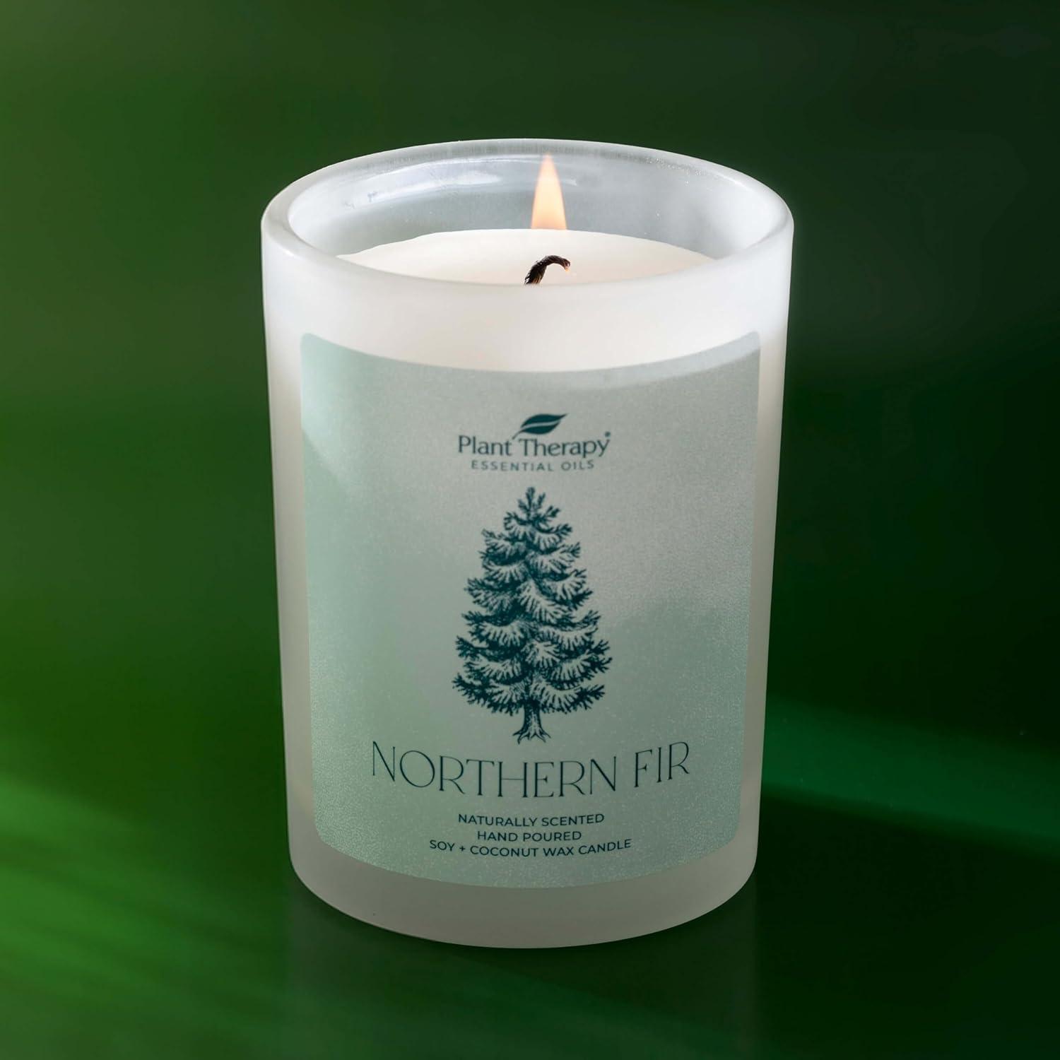 Plant Therapy Northern Fir Candle