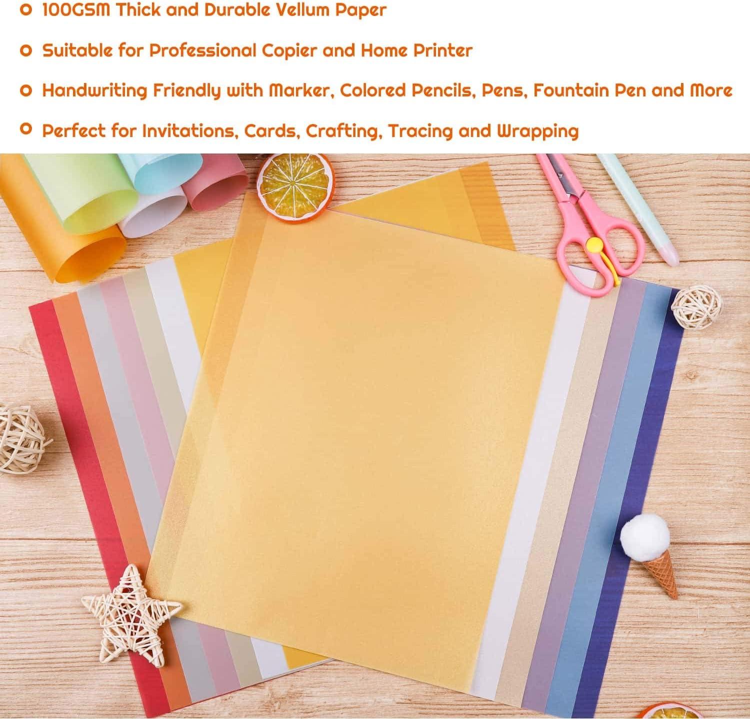 Shynek Colored Vellum Paper 50 Sheets, 10 Colors 8.5 x 11