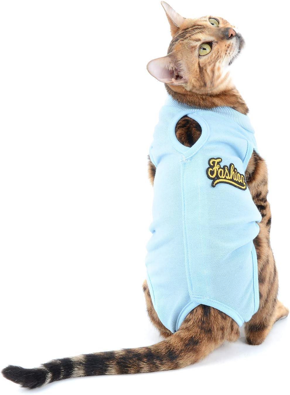 Medical Pet Shirt - Gilet de Protection Plaies 4 en 1 pour Chiens
