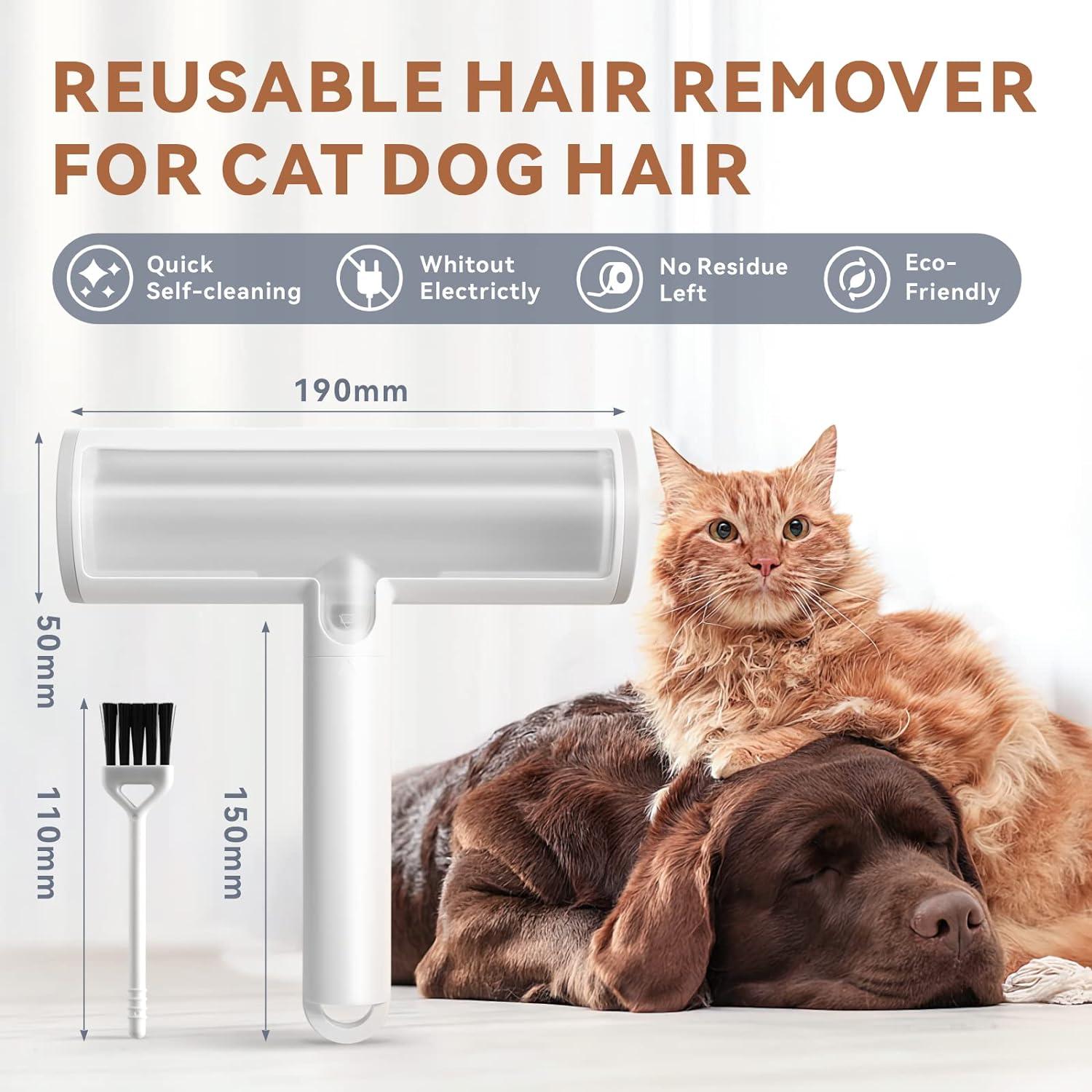 Cat Hair Best Way To Get Dog Hair Off Sofa Baytion Pet Hair