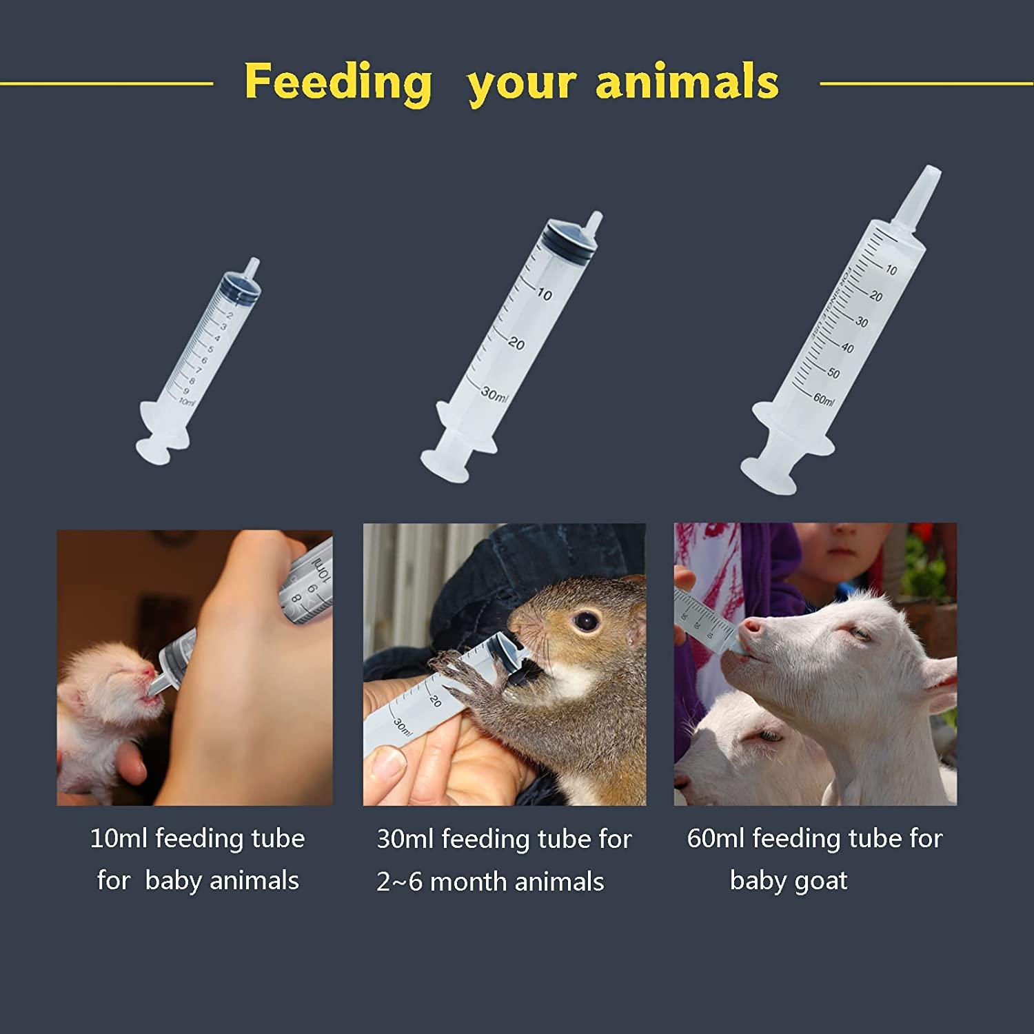 Tube feeding kittens hotsell