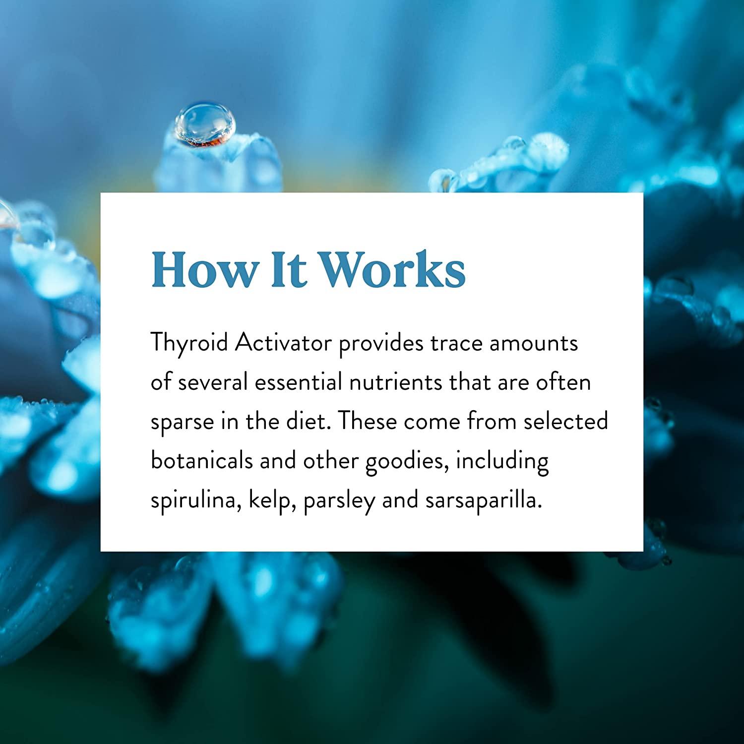 Nature's Sunshine Thyroid Activator 100 Capsules Support Thyroid Health