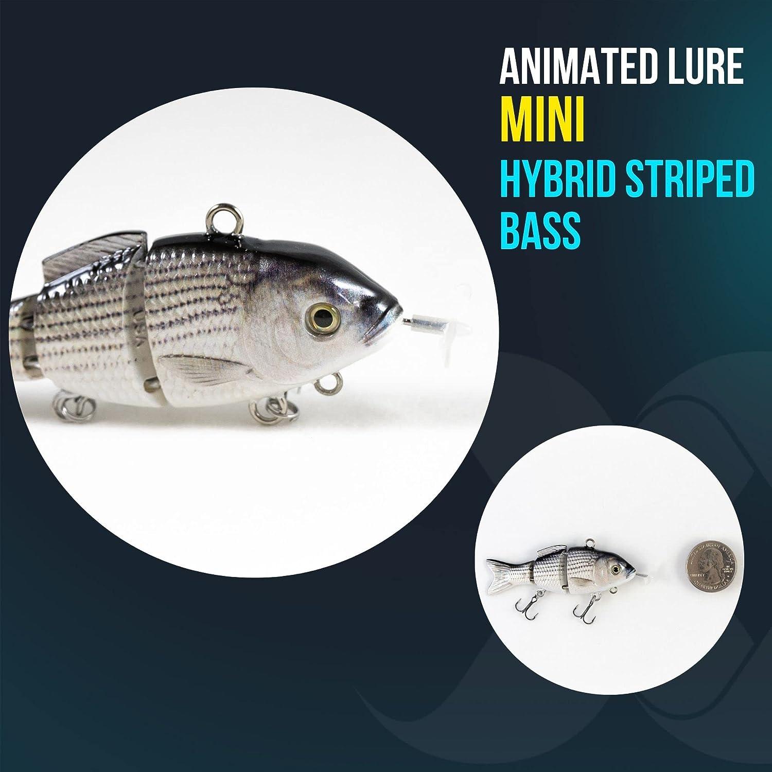 2.6 Animated Lure Mini - USB Rechargeable Self-Swimming Fishing Bait for  Hybrid Striped Bass