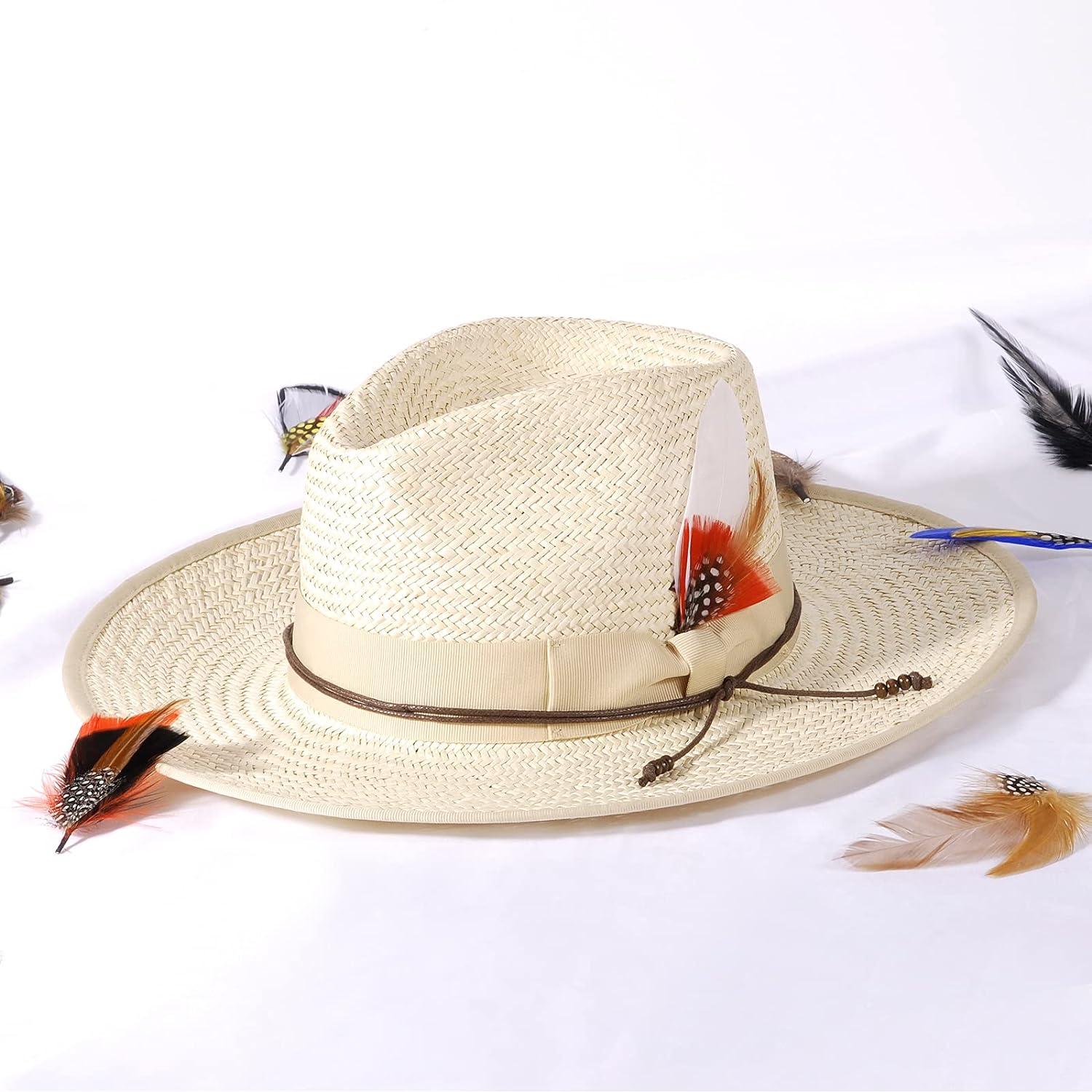 Hat Feathers for Fedora 10 Pcs Men Women Cowboy Hats Pins Assorted Color  Crafts Accessories Feather for Open Road Borges Hat