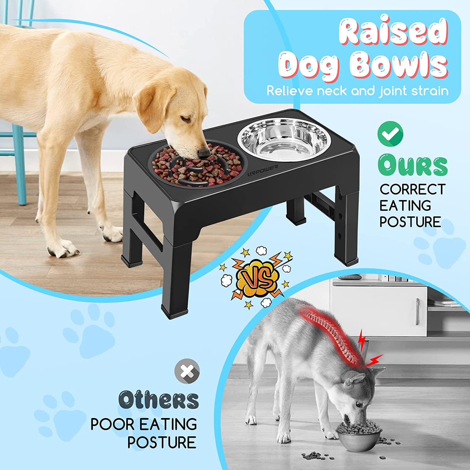 URPOWER Raised Slow Feeder Dog Bowls 4 Height Adjustable Elevated Dog Bowls  with Stainless Steel Dog Water Bowl and Dog Slow Feeder Non-Slip Dog Food  Bowls Stand for Small Medium Large Dogs