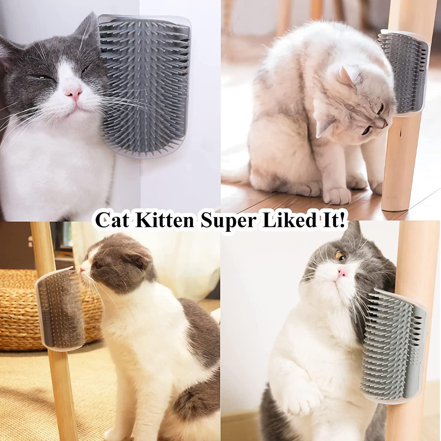Cat top wall comb