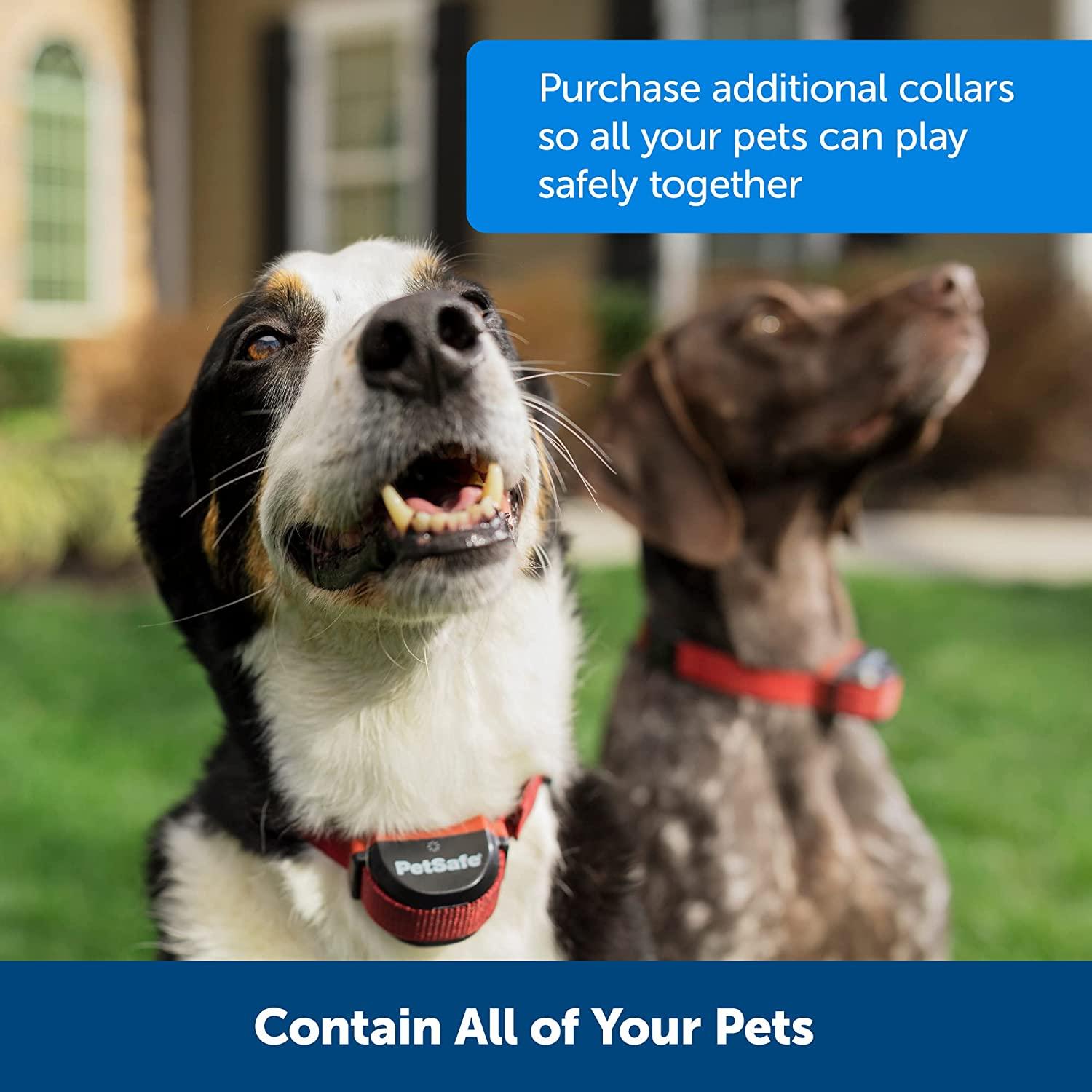 PetSafe Stay & Play Wireless Pet Fence with Replaceable Battery Collar,  Covers up to 3/4 Acre, For Dogs & Cats over 5 lb, Waterproof Collar, Tone &  Static, From Parent Company of