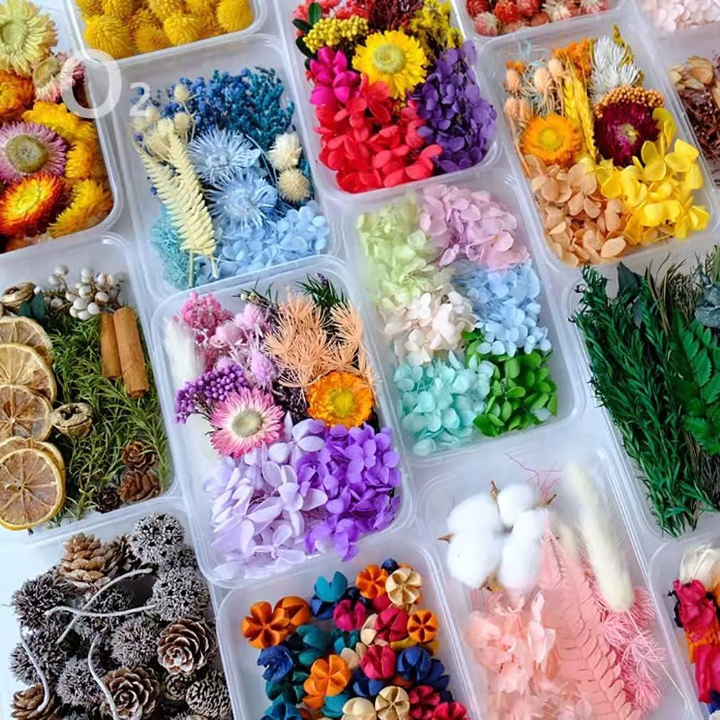  100 Pieces Dried Pressed Flowers for Resin Real Nature Flowers  with Leaves Dried Flowers for Crafts DIY Art Candle Soap Making Nail Decors  (Colorful Flower)