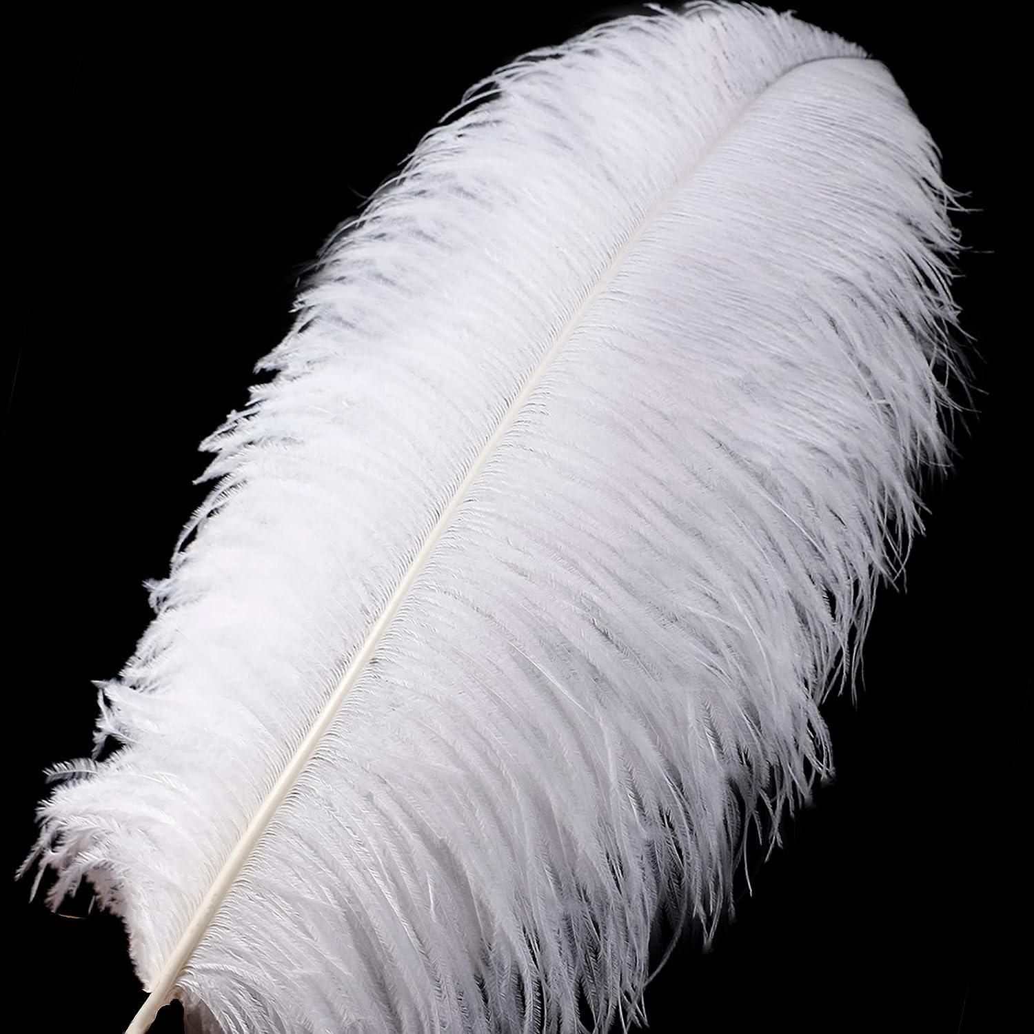 Larryhot White Large Ostrich Feathers - 16-18 inch 10pcs Feathers for Vase  Wedding Party Centerpieces and Home Decorations (White)