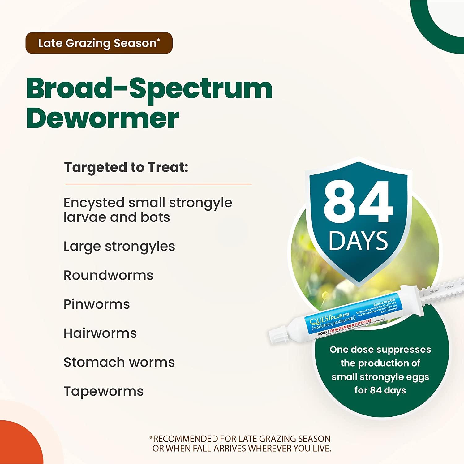 Quest Plus Gel Horse Dewormer for Horses and Ponies 6 Months+, 0.5oz