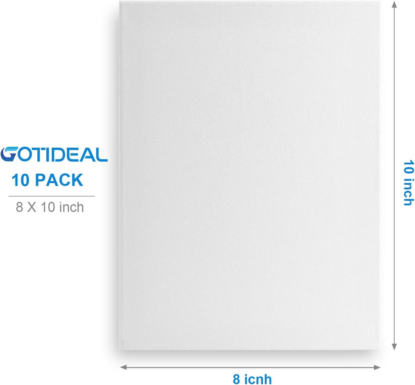 GOTIDEAL Canvas Boards, 8x10 inch Set of 10,Gesso Primed White Blank  Canvases for Painting - 100% Cotton Art Supplies Canvas Panel for Acrylic  Paint