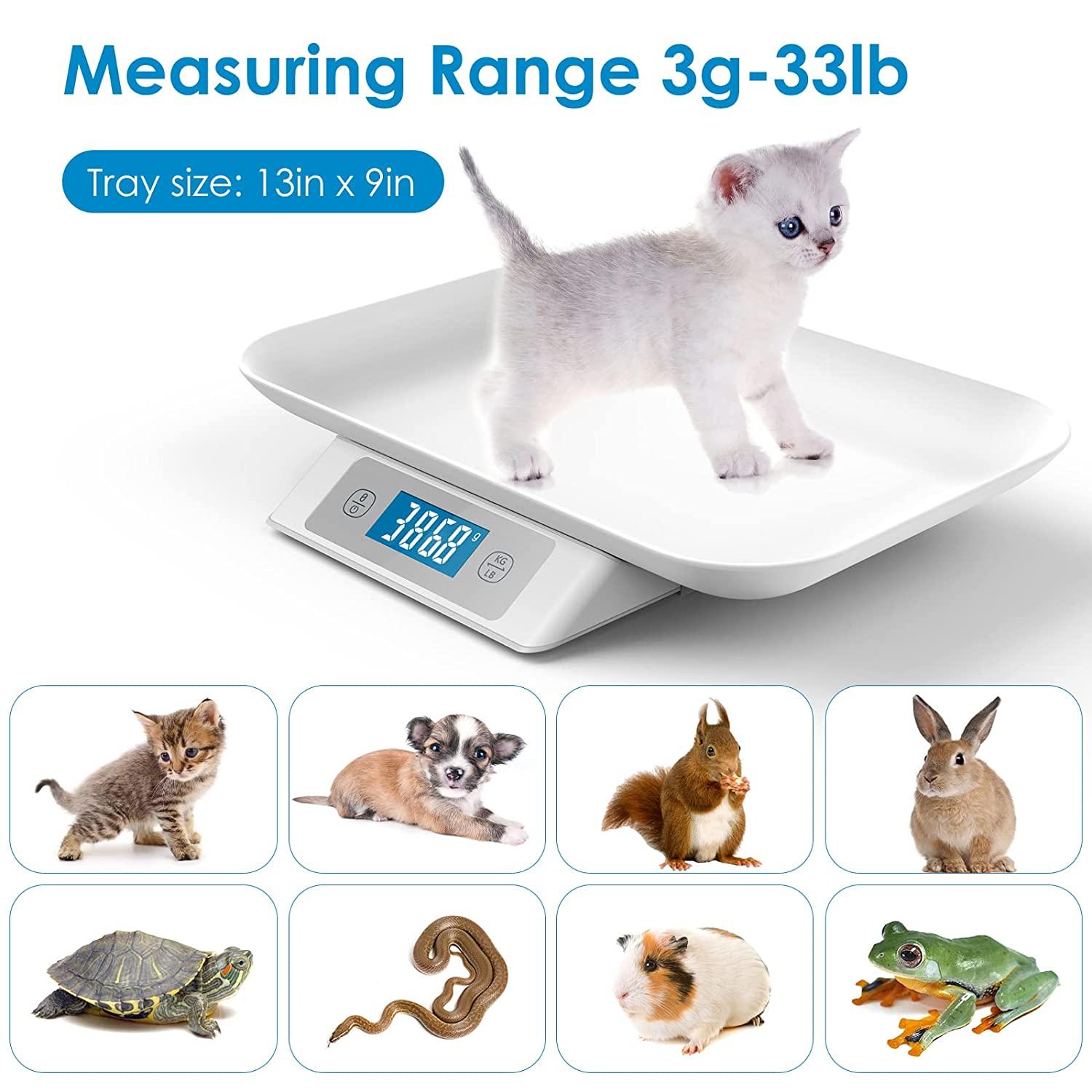 Mindpet-med Digital Pet Scale for Small Animal Accuracy 1g Measuring Range  3g-15000gUnit glboztlml Suitable for Kitten Puppy Rabbit Tortoise