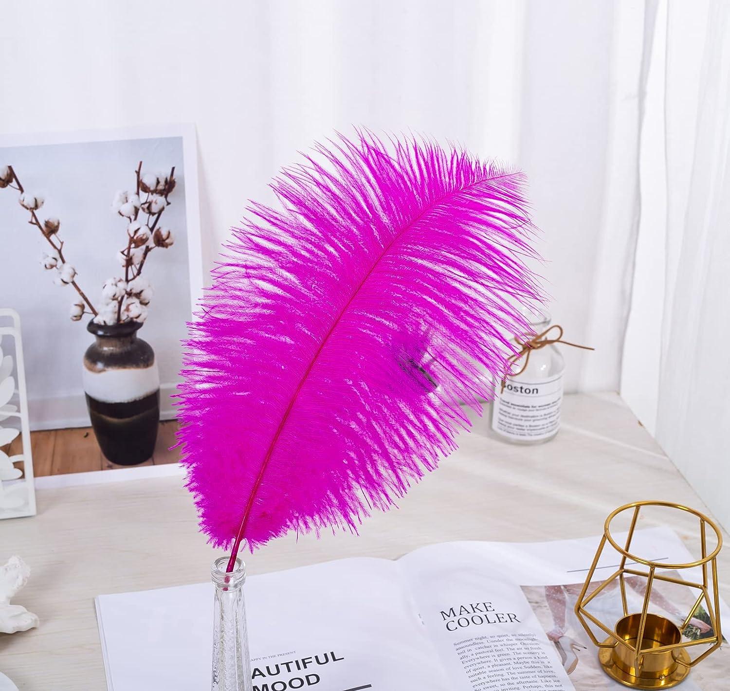 Fuchsia Ostrich Feathers - Feather Centerpieces | Wedding Centerpieces |  Feather Decorations | Feathers For Vases