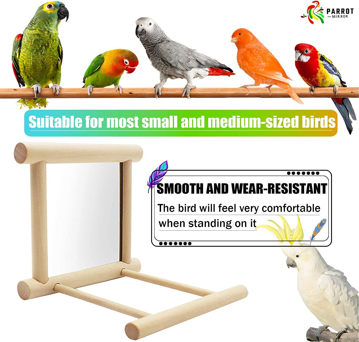 Blessed family Bird Parakeet Mirror for Cage,Parrot Perch Stand,Wooden  Hummingbird Swing Toy,Parakeet Accessories for Cockatiels Conure Finch  Lovebird Canary African Grey Macaw 1 piece of bird mirror