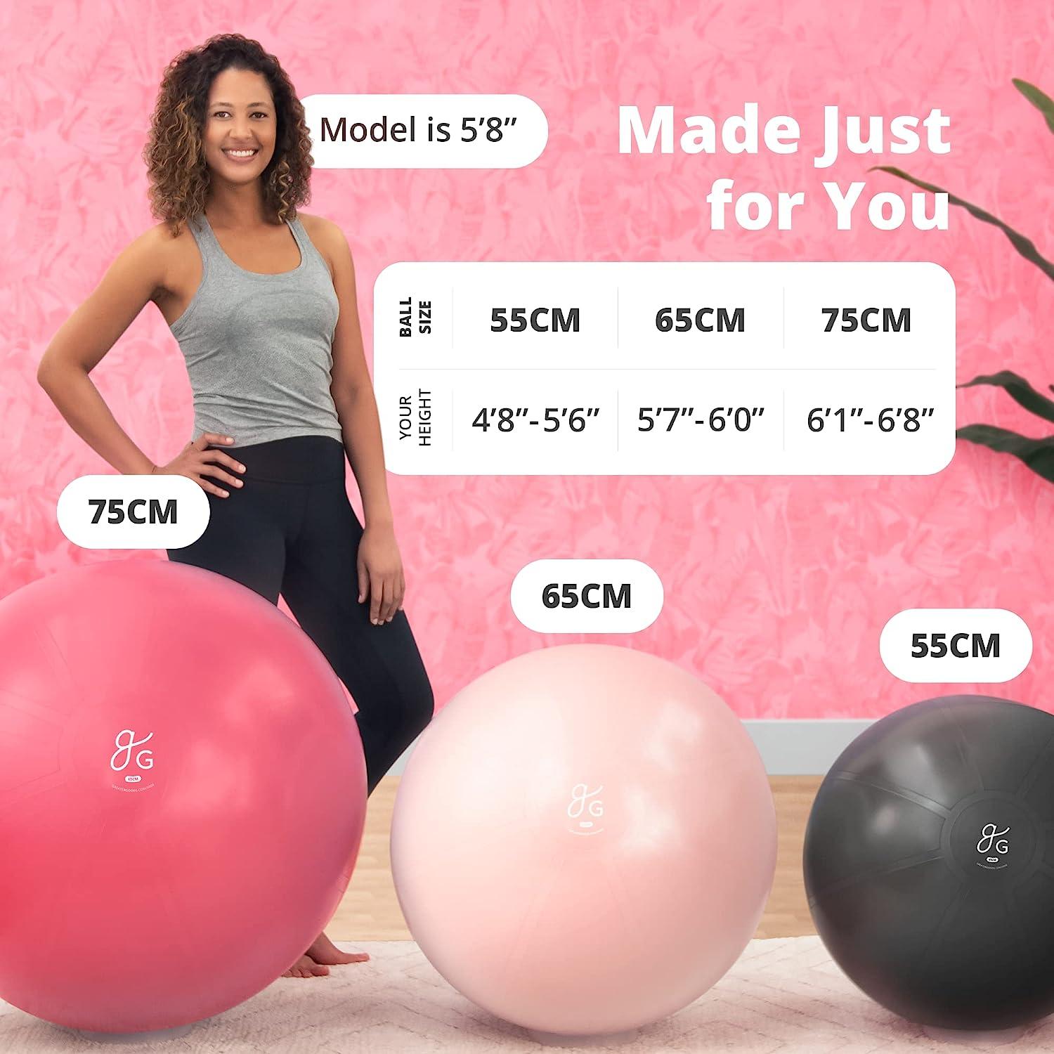 Yoga Chair ProBody Pilates Ball Exercise Ball Yoga Ball Multiple