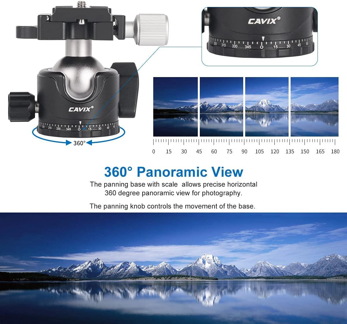 CAVIX Testa A Sfera Basso Profilo In Metallo CNC Per Treppiede DSLR – 29 Mm, Con Livella E Piastra Arca Swiss – Capacità 15kg