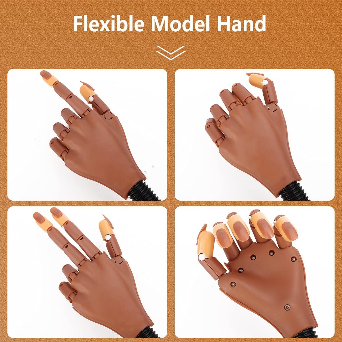 LIONVISON Practice Hand for Acrylic Nails-Flexible Moveable Fake Hand for  Nail Practice, False Nail Mannequin Hands Training with 200PCS Replacement  Tips and 1 Clipper TypeB-nail hand with clear tips