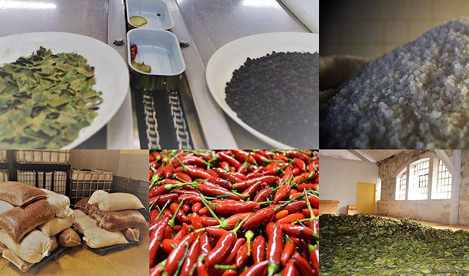 NURI Portuguese Sardines Variety Pack 8Pack Gift Box Bundle