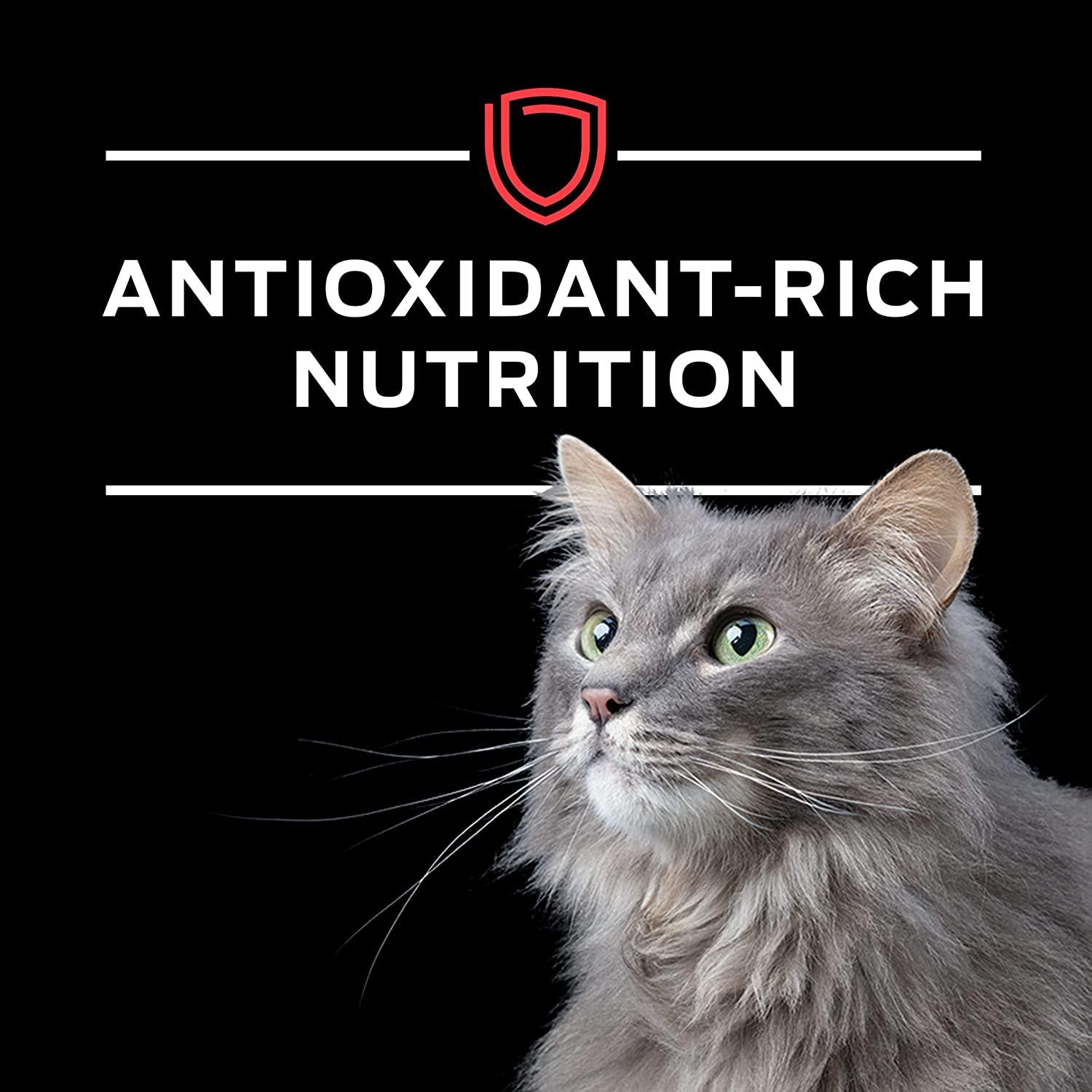 Purina Pro Plan Veterinary Diets DM Dietetic Management Feline Formula