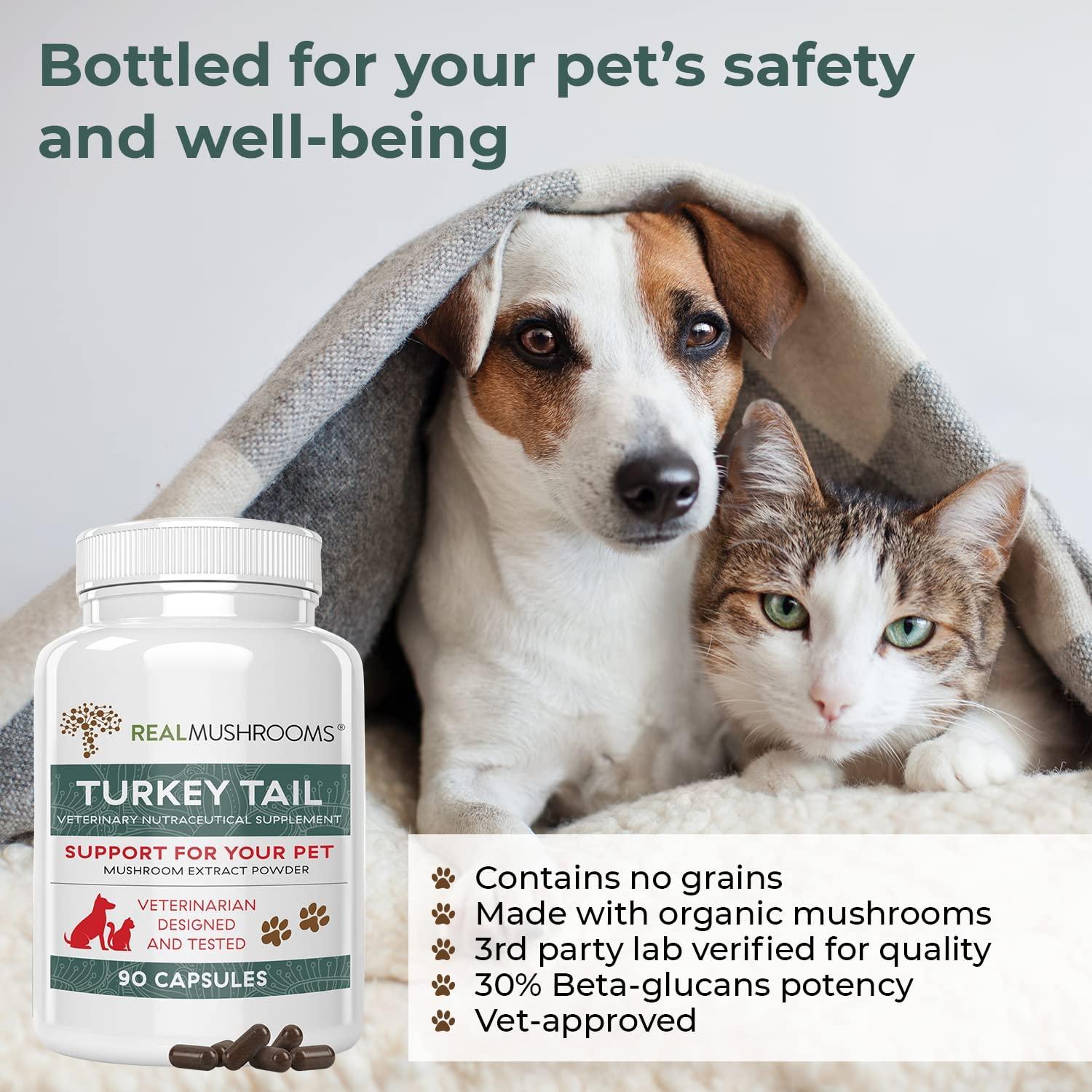 Turkey Tail Pet Support Dog Multivitamins and Supplements for