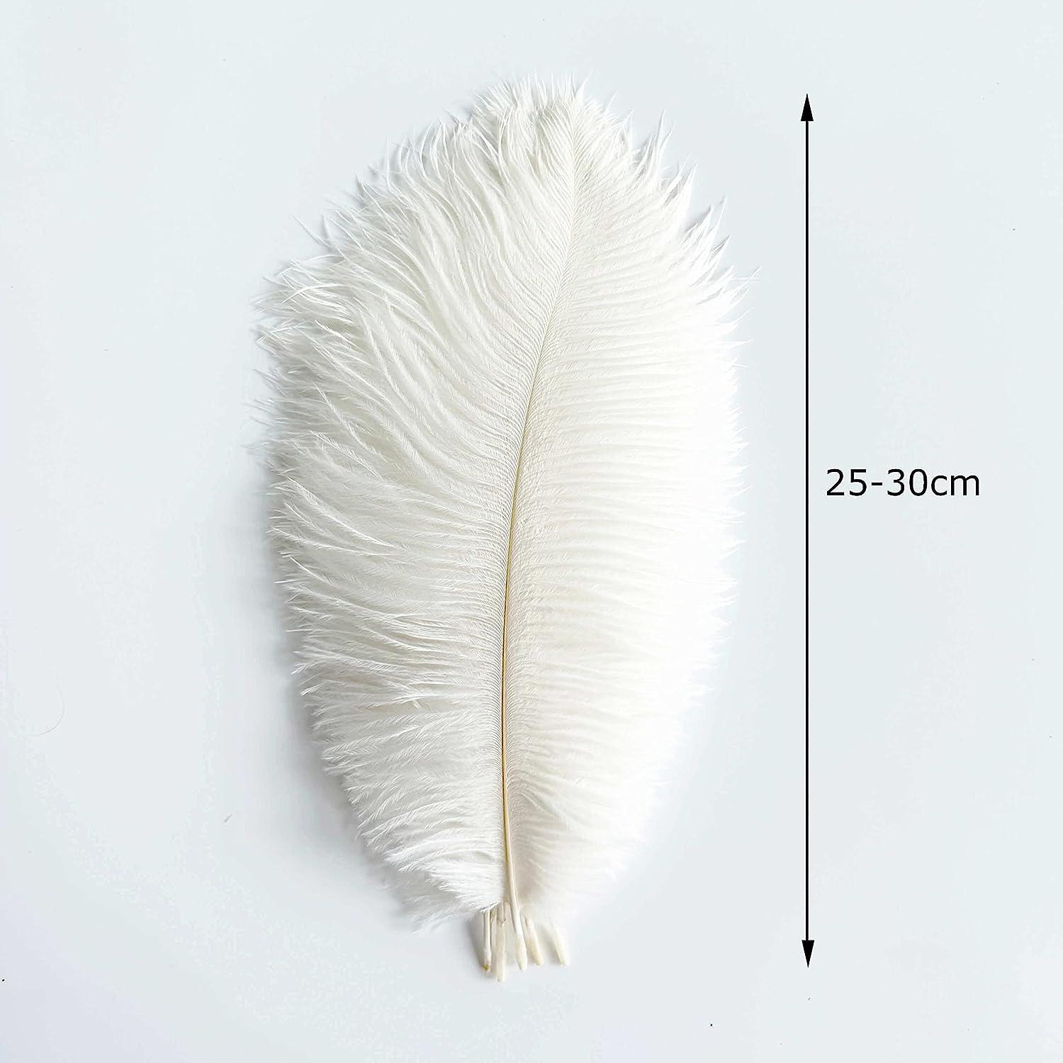 Piokio 100 Pcs Natural Peacock Feathers in Bulk 10 inch-12 inch for Wedding Crafts Christmas Decorations