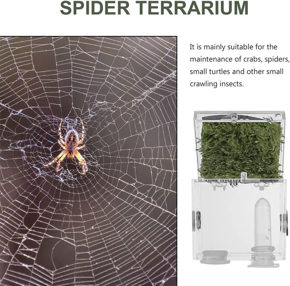 Transparante Amfibieën Terrarium Top Netto Ventila... – Vicedeal