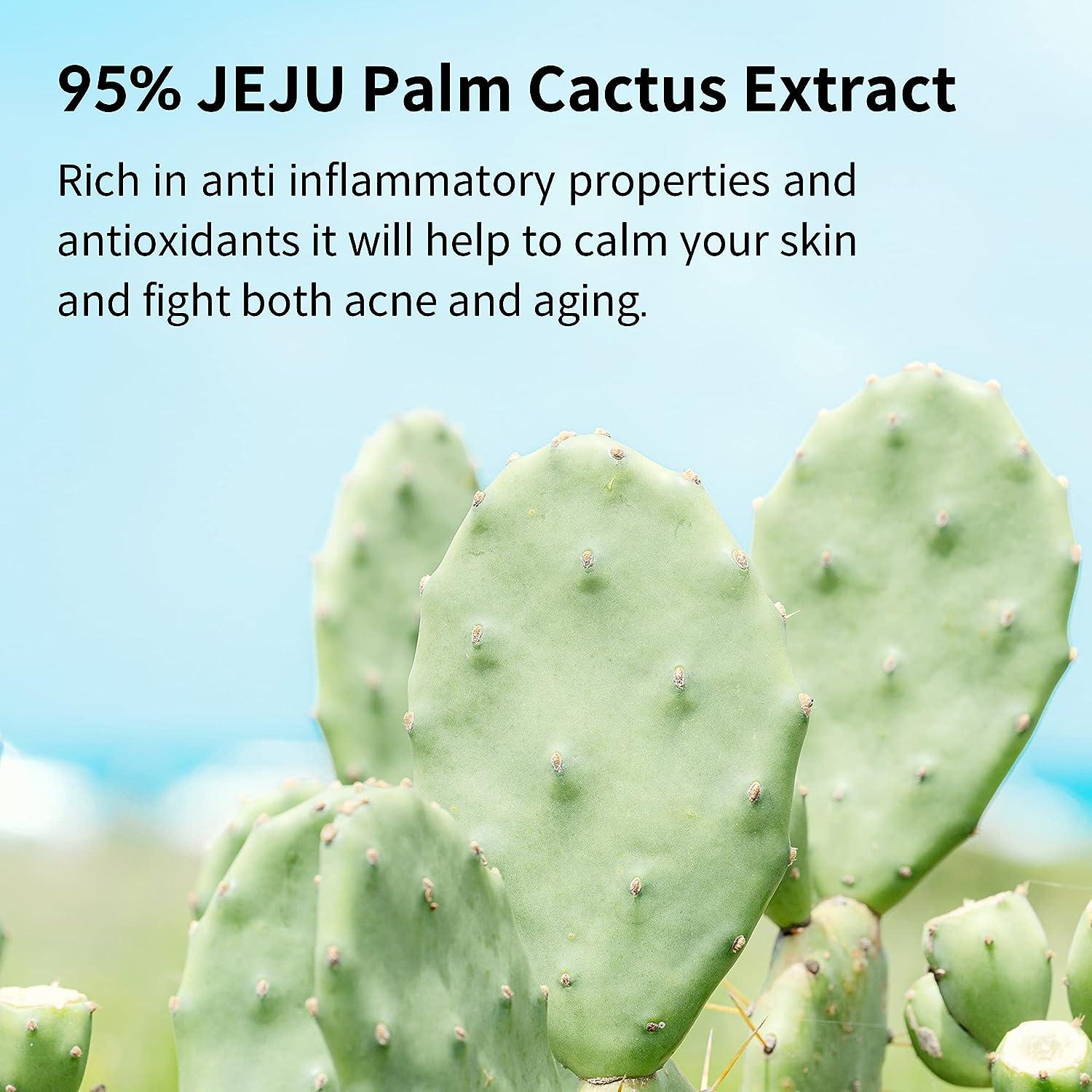 YADAH Cactus Soothing Gel 8.45 fl.oz - Vegan Cooling Moisturizer with 95%  Cactus Extract