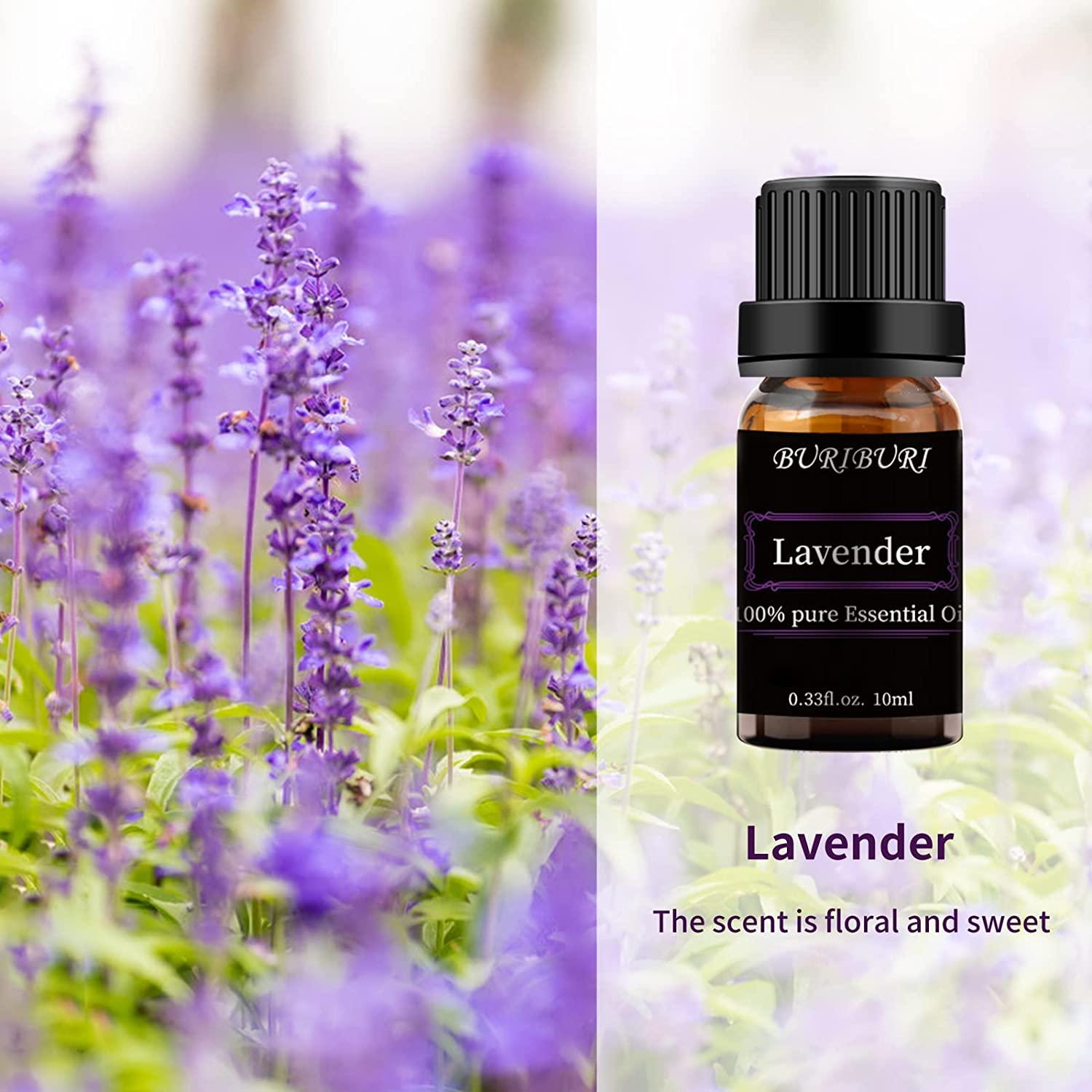  Lavender Oil 10ml Organic Aromatherapy Oils 0.33fl.oz