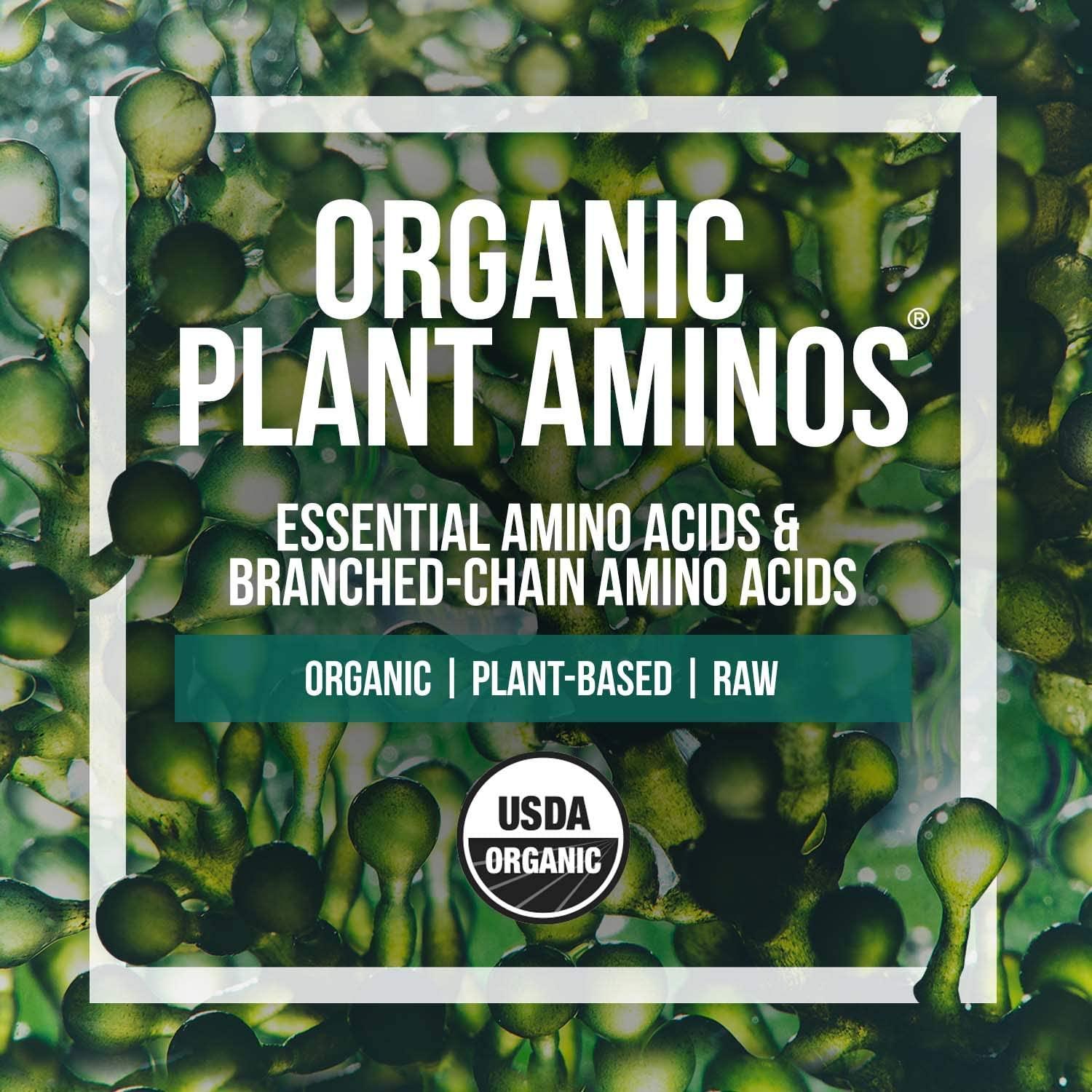 Plant Aminos Organic Essential Amino Acids & BCAA 100 Vegan 360 Tablets