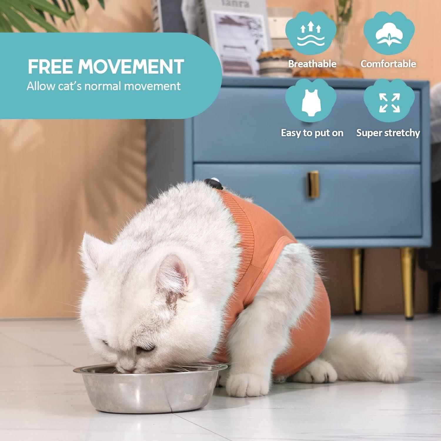 Cat recovery shirt best sale