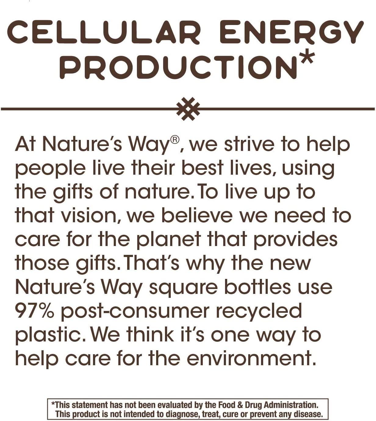 Nature's Way Riboflavin Vitamin B2 400 mg 30 Tablets