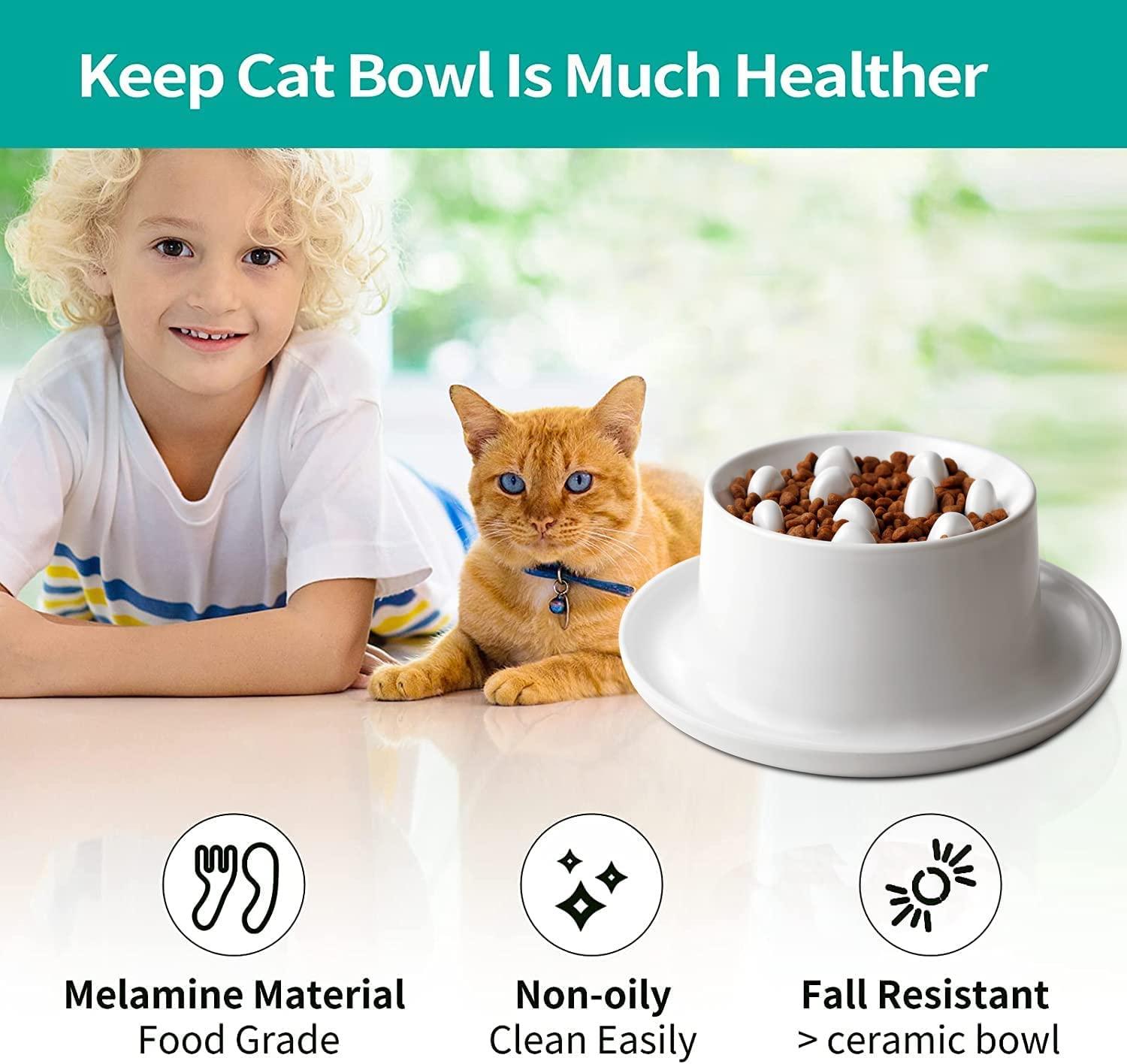 Interactive Slow Feeder Cat Bowl Raised Fun Pet Feeder Bowl Bloat