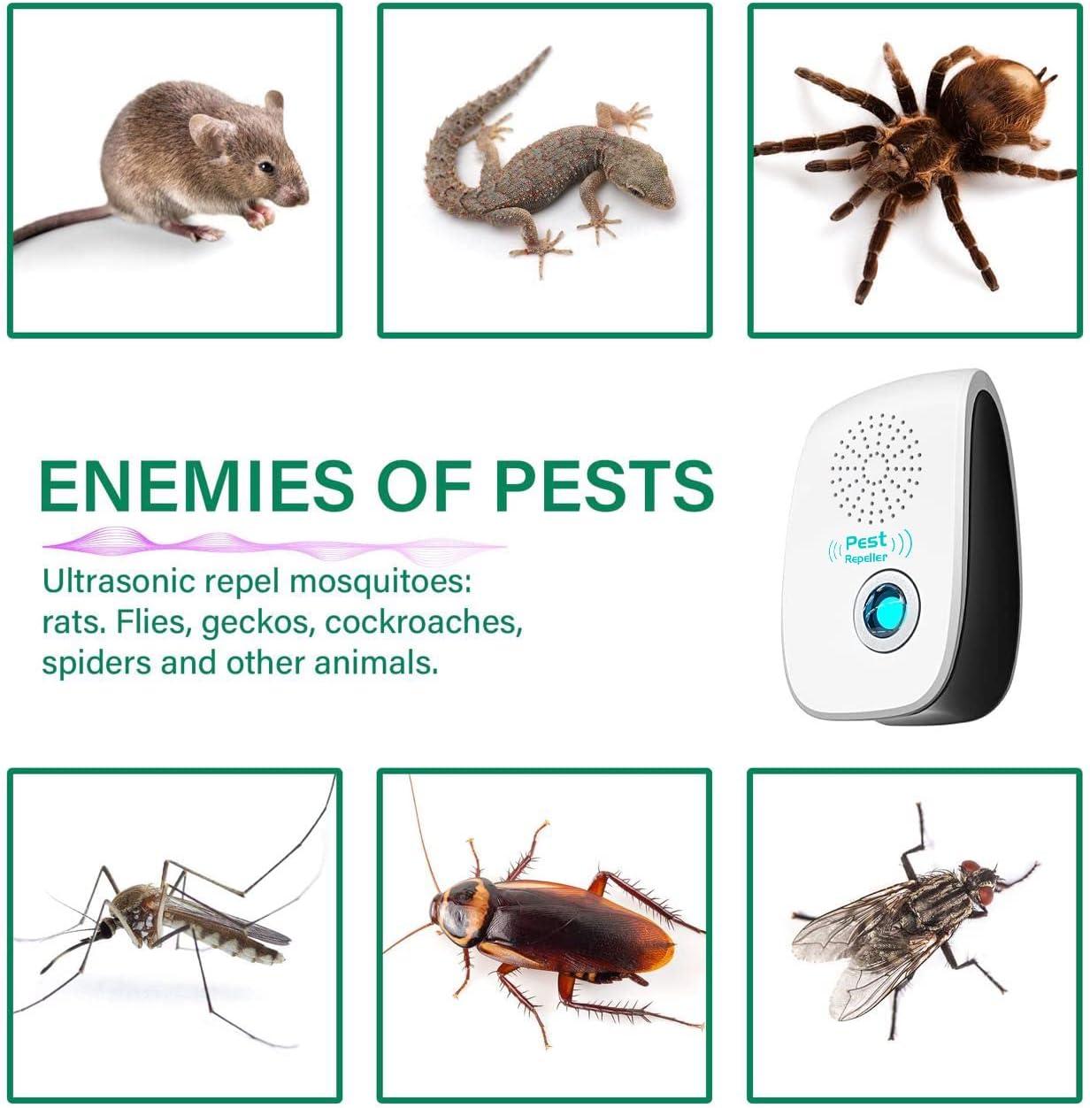 Mouse Repellent Ultrasonic Insect Repellent Mosquito Repellent