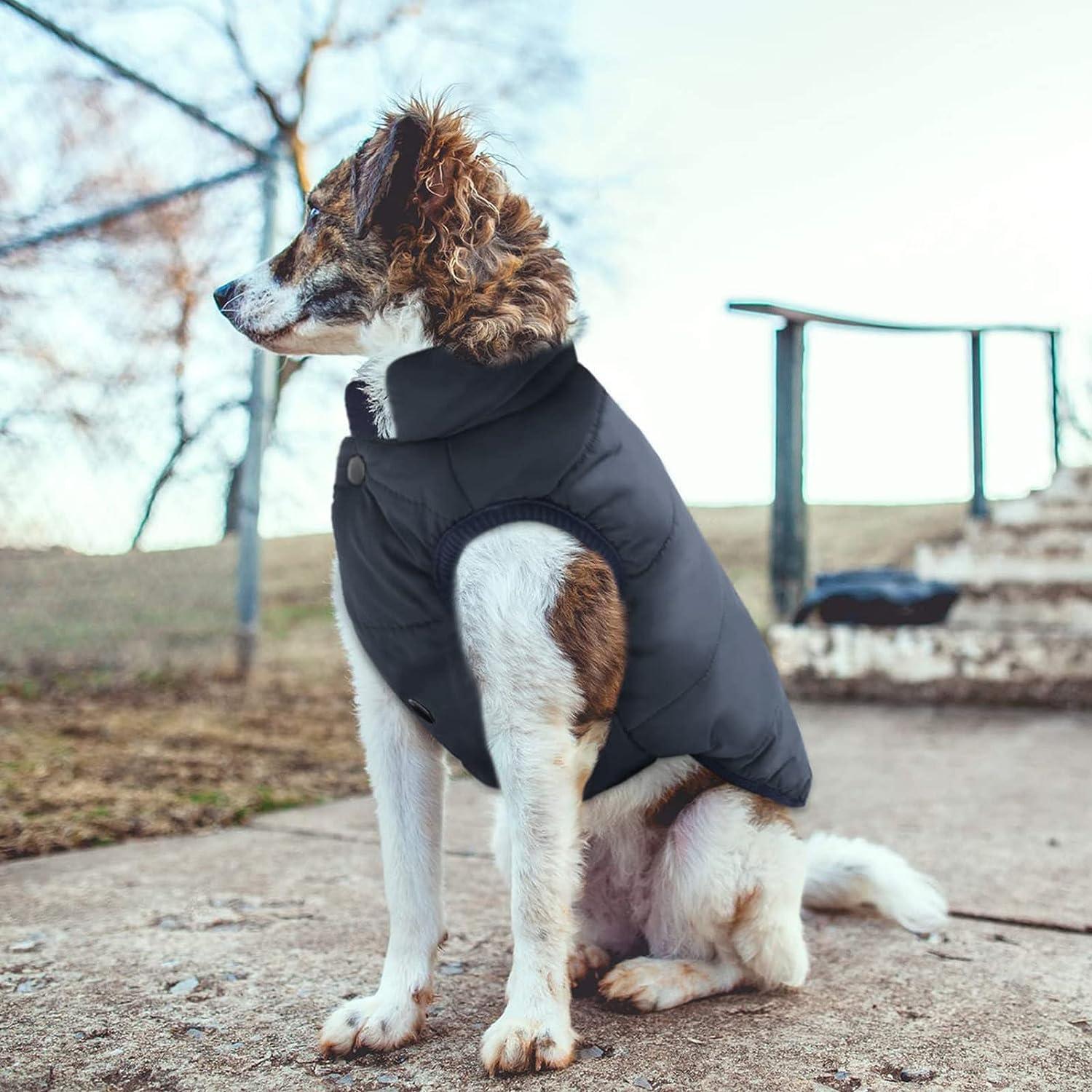 Dog down jacket sale