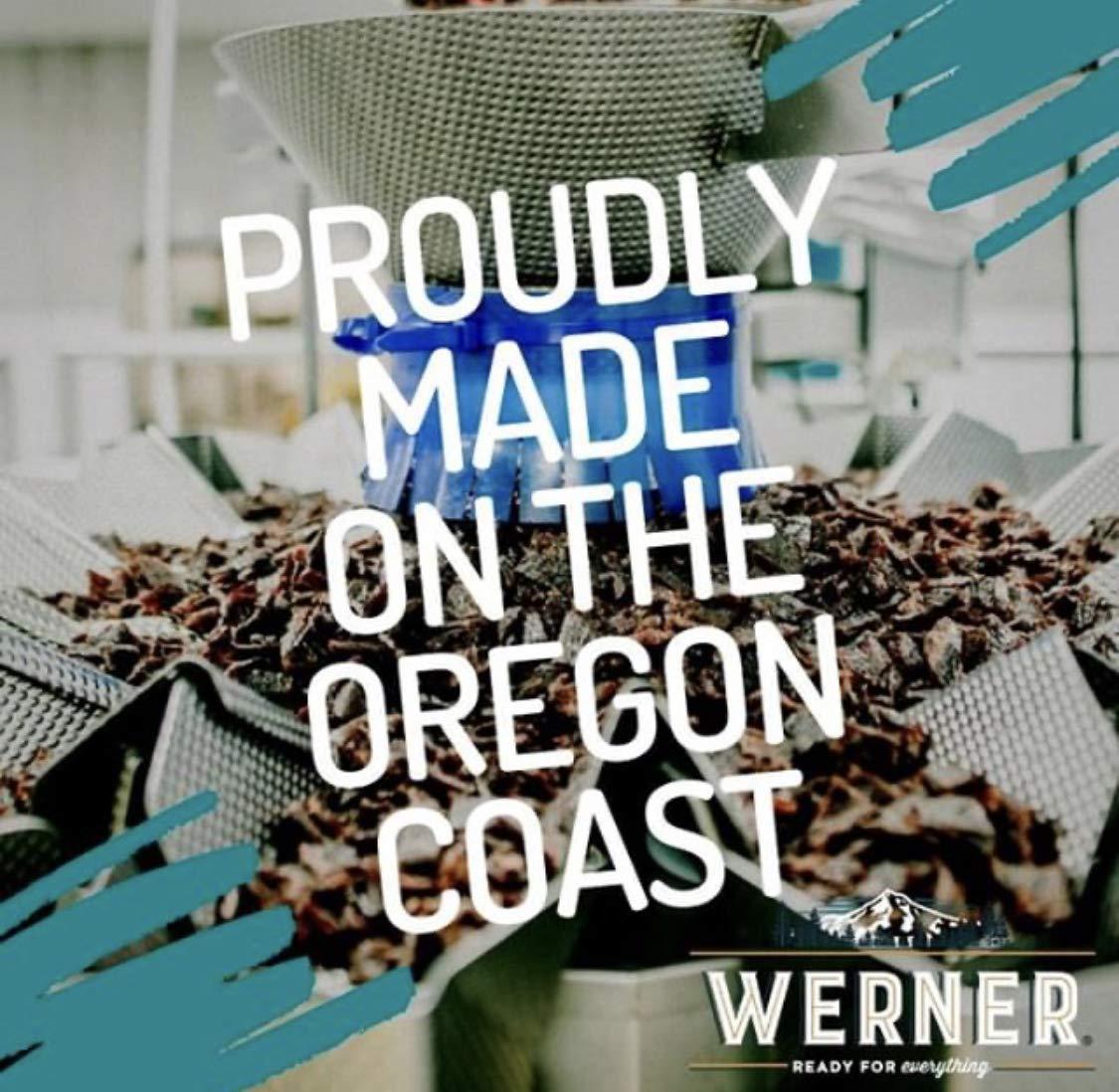 Werner Gourmet Meat Snacks Pepperoni Mini Sticks 12 oz.