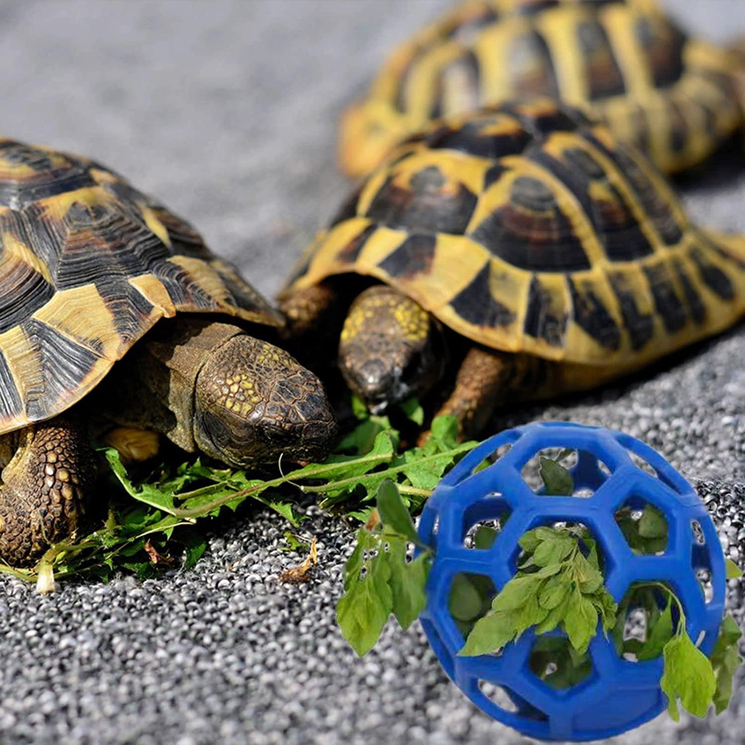 Tortoise Treat Ball Feeding Vegetable Aquatic Turtle Toy & Feeder for