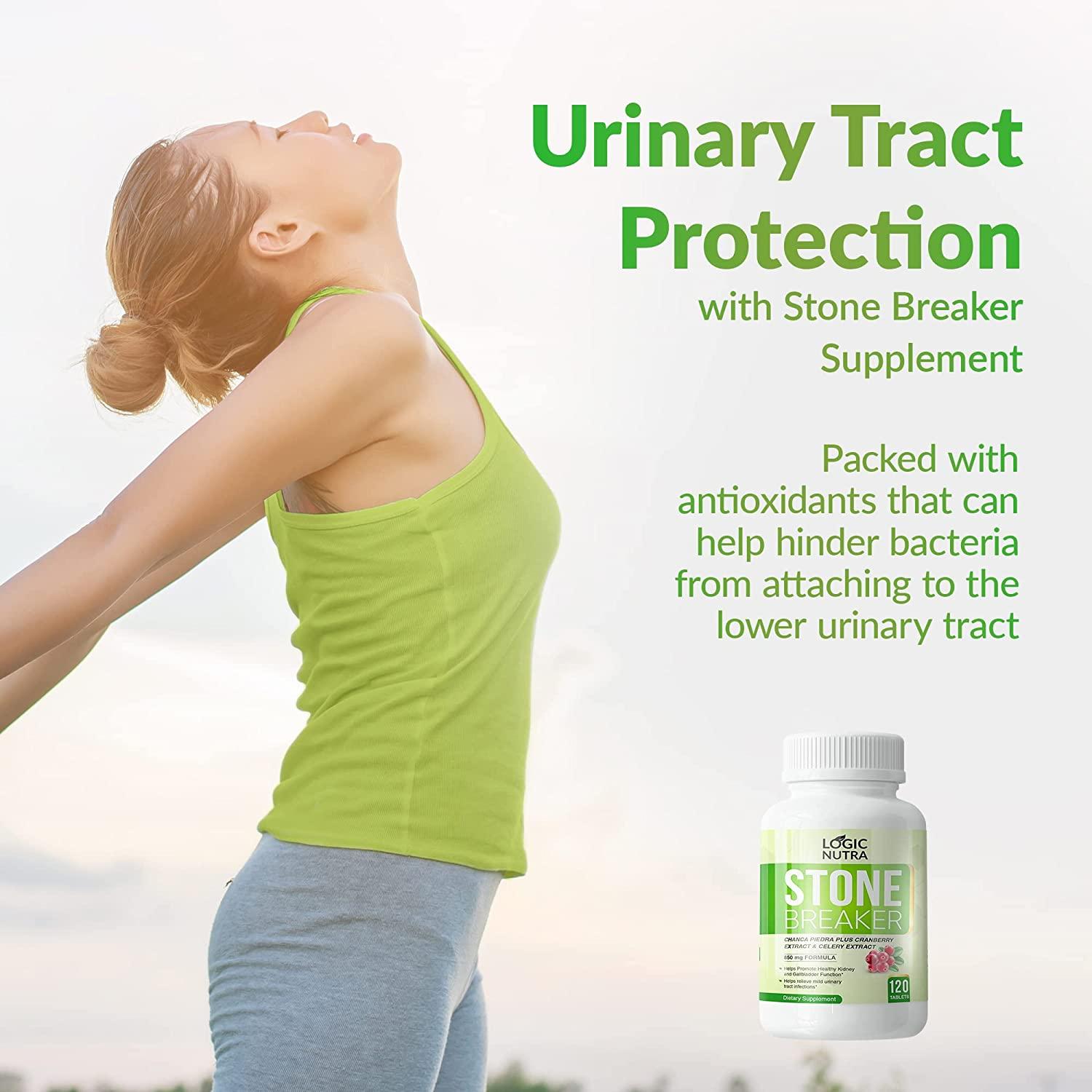 Logic Nutra Chanca Piedra Kidney Stone Breaker 800mg 120 Tablets for