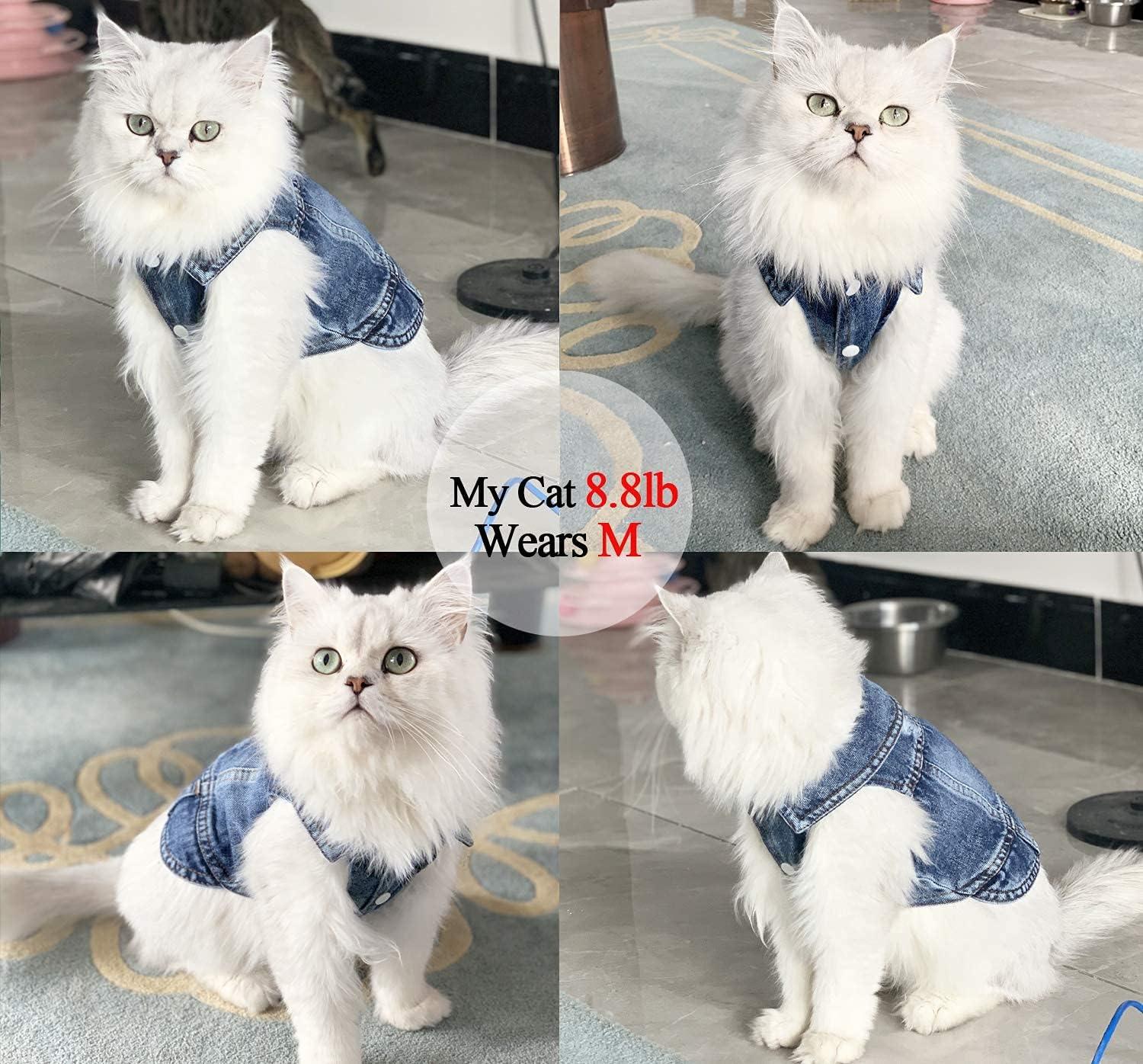 Dog Jean Jacket Puppy Blue Denim Lapel Vest Coat Costume Girl