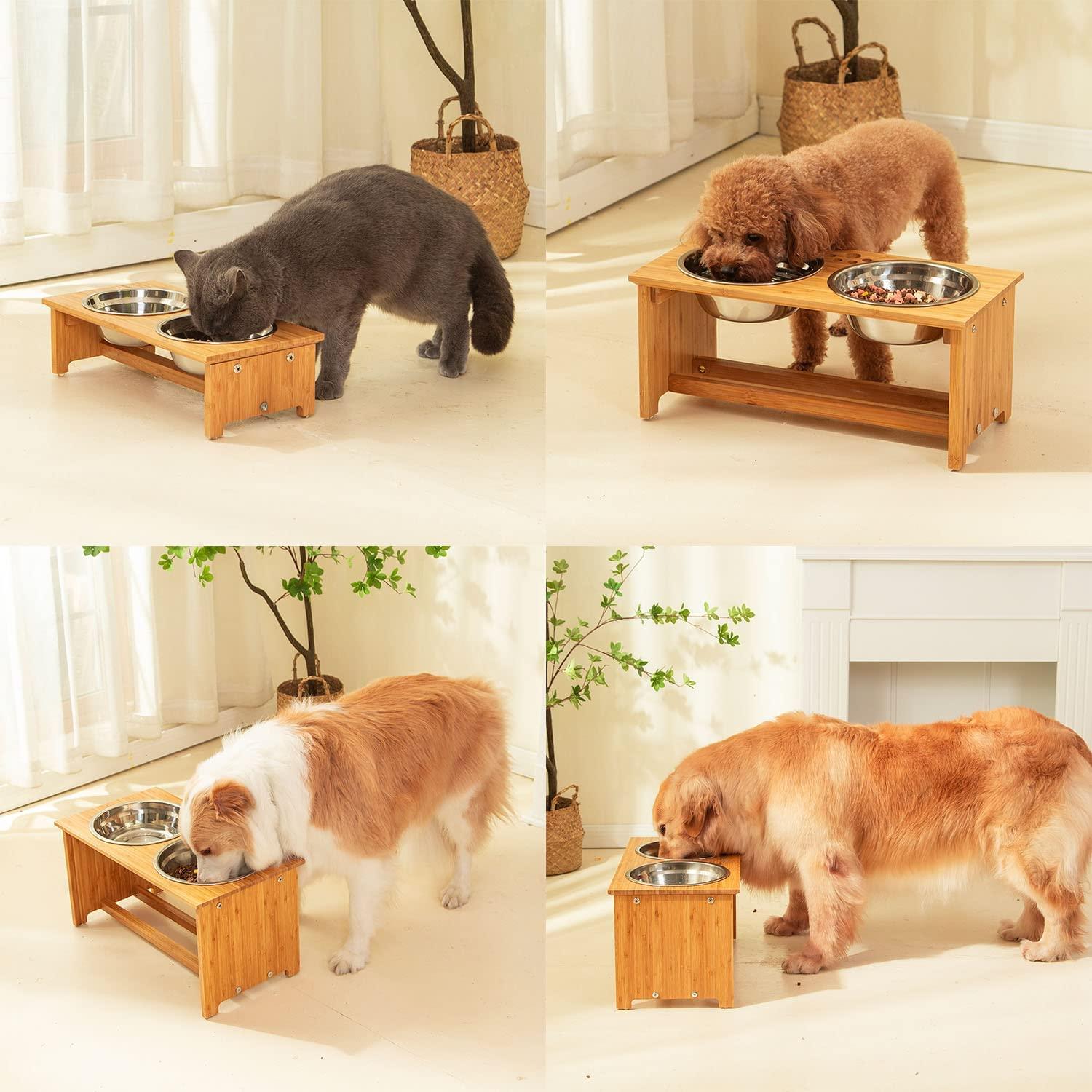 Elevated Dog Bowl Stand 4 Raised Dog Bowl for Small Dogs and Cats