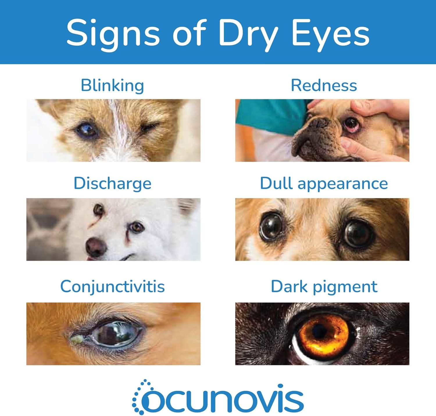 Sentrx Ocunovis Gel Eye Drops for Dogs & Cats Eye Lube for Dogs Allergy Relief Lubricant Dogs with Dry Eyes Artificial Tears - 0.33 Oz | Buy Now with Express International Delivery | GoSupps.com Sentrx Ocunovis Gel Eye Drops for Dogs & Cats Eye Lube for Dogs Allergy Relief Lubricant Dogs with Dry Eyes Artificial Tears - 0.33 Oz | Buy Now with Express International Delivery | GoSupps.com