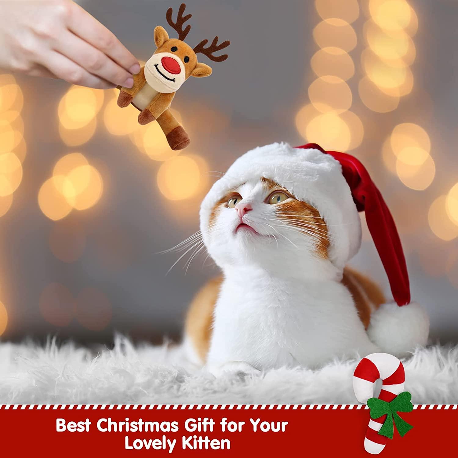 cat laser toy automatic Automatic Laser Cat Toy Bear – Everything pets love
